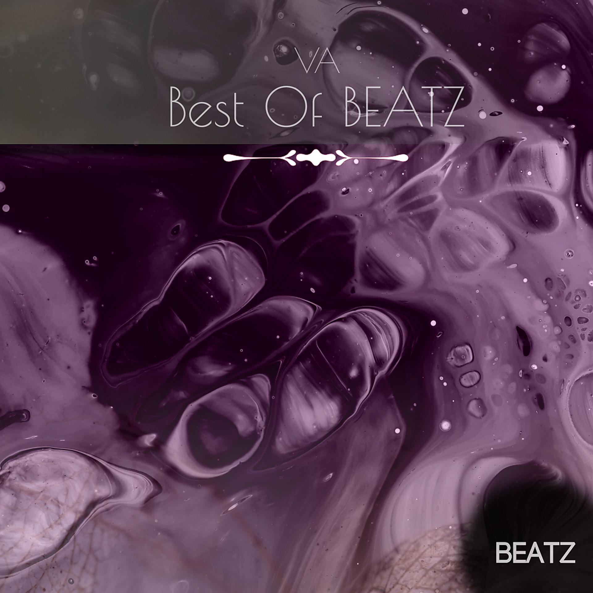 Постер альбома Best Of BEATZ VA