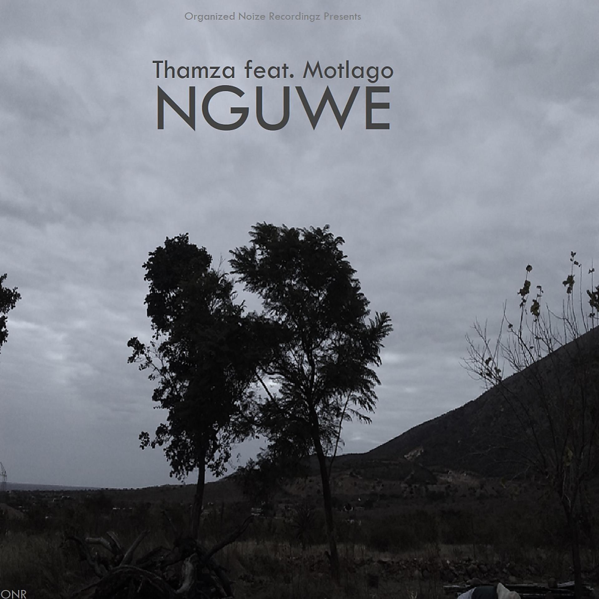 Постер альбома Nguwe