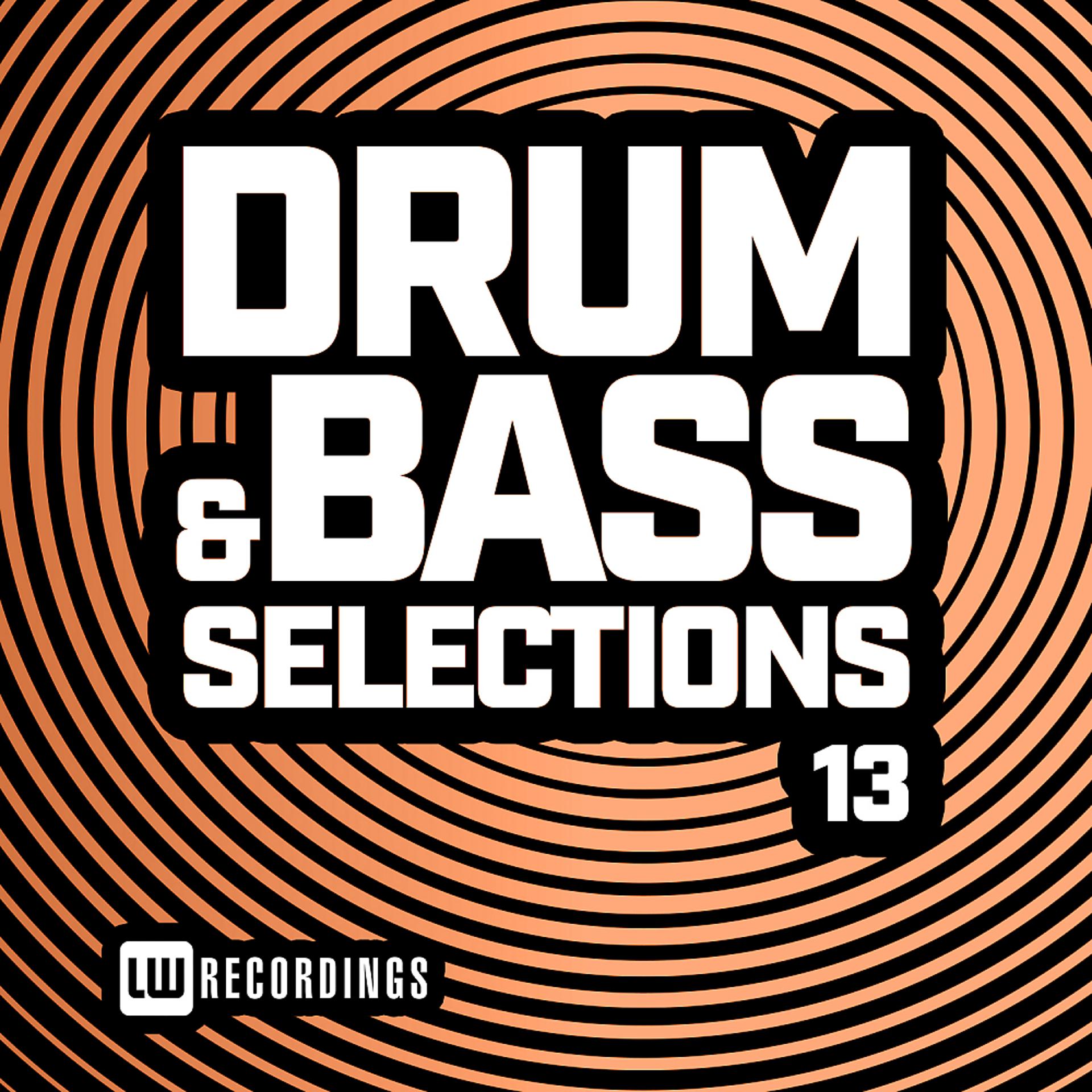 Постер альбома Drum & Bass Selections, Vol. 13