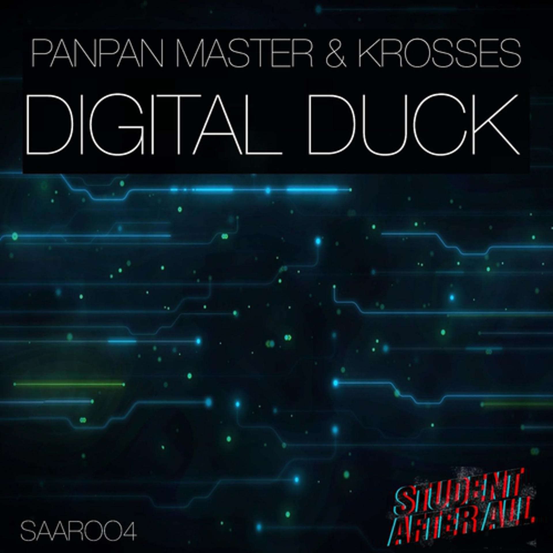 Постер альбома Digital Duck