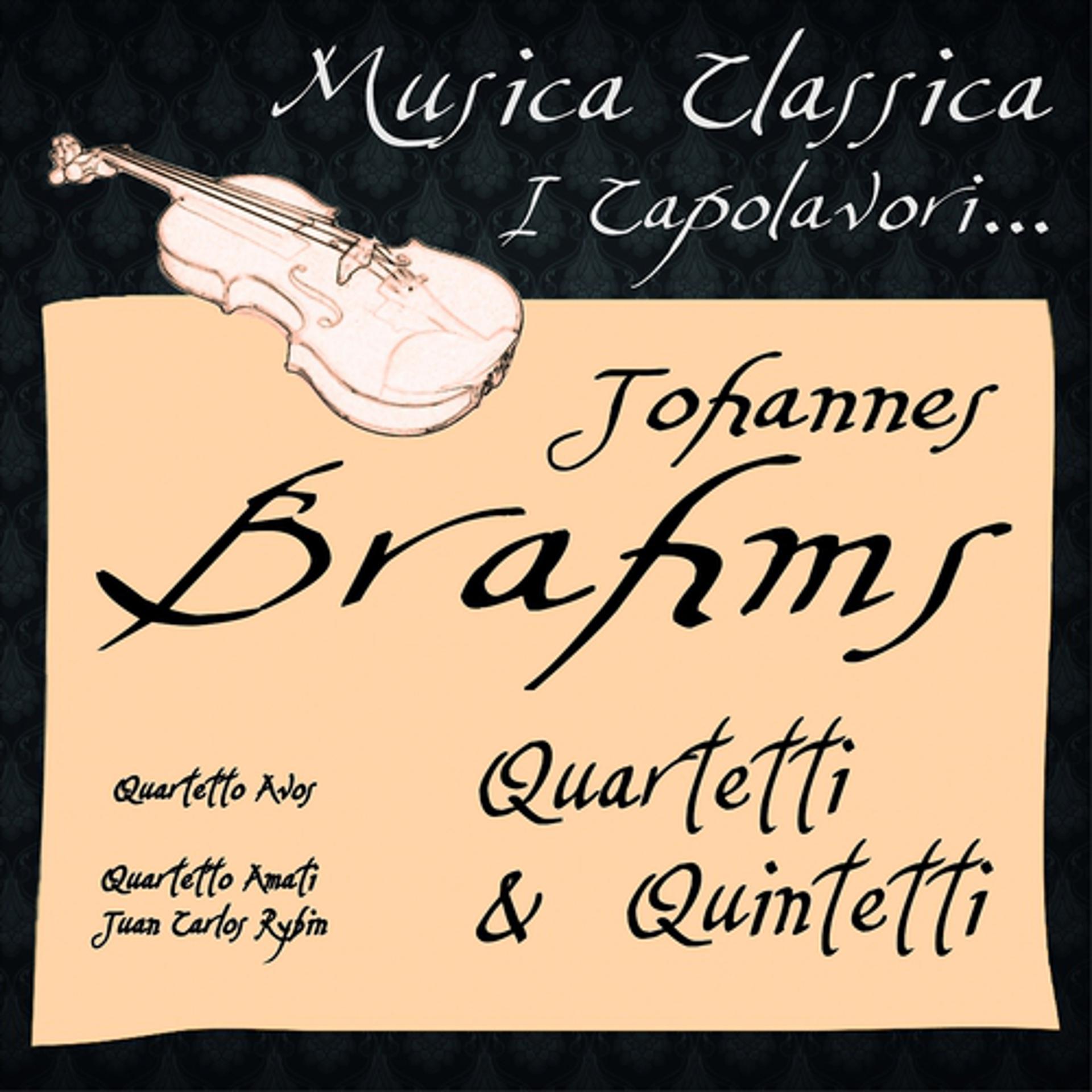 Постер альбома Johannes Brahms: Quartetti & Quintetti