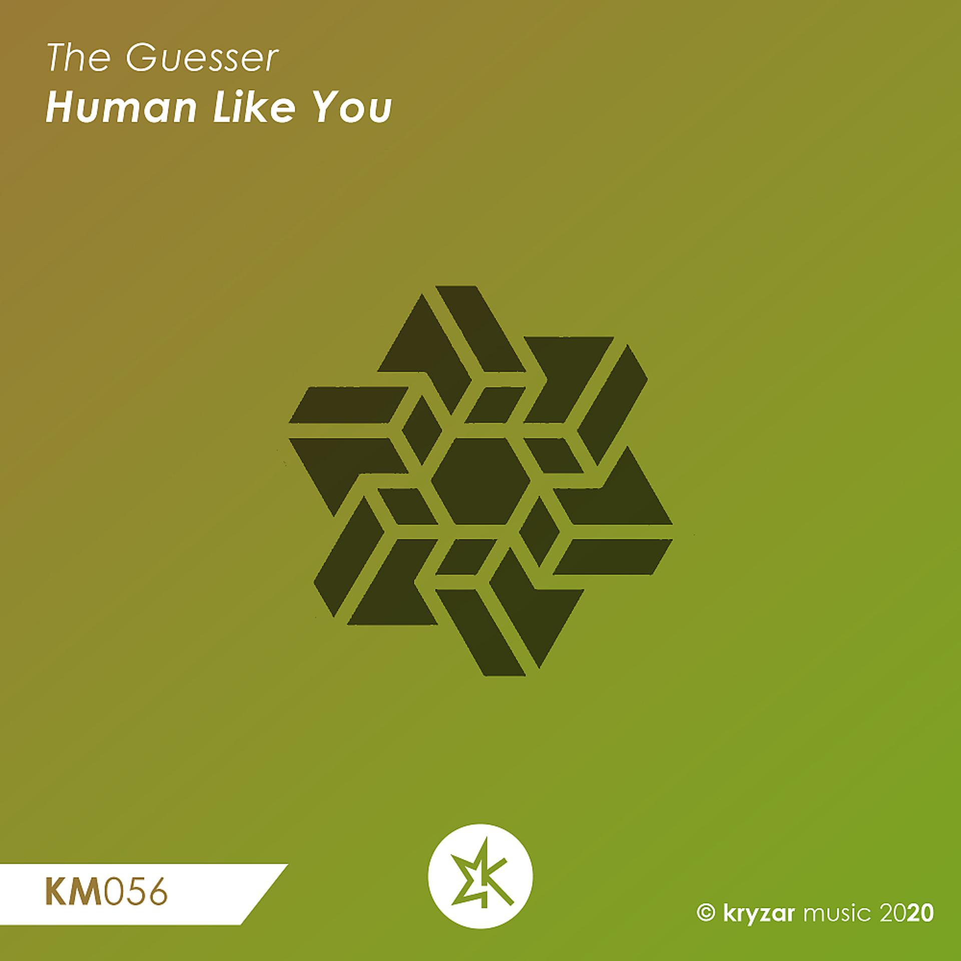 Постер альбома Human Like You