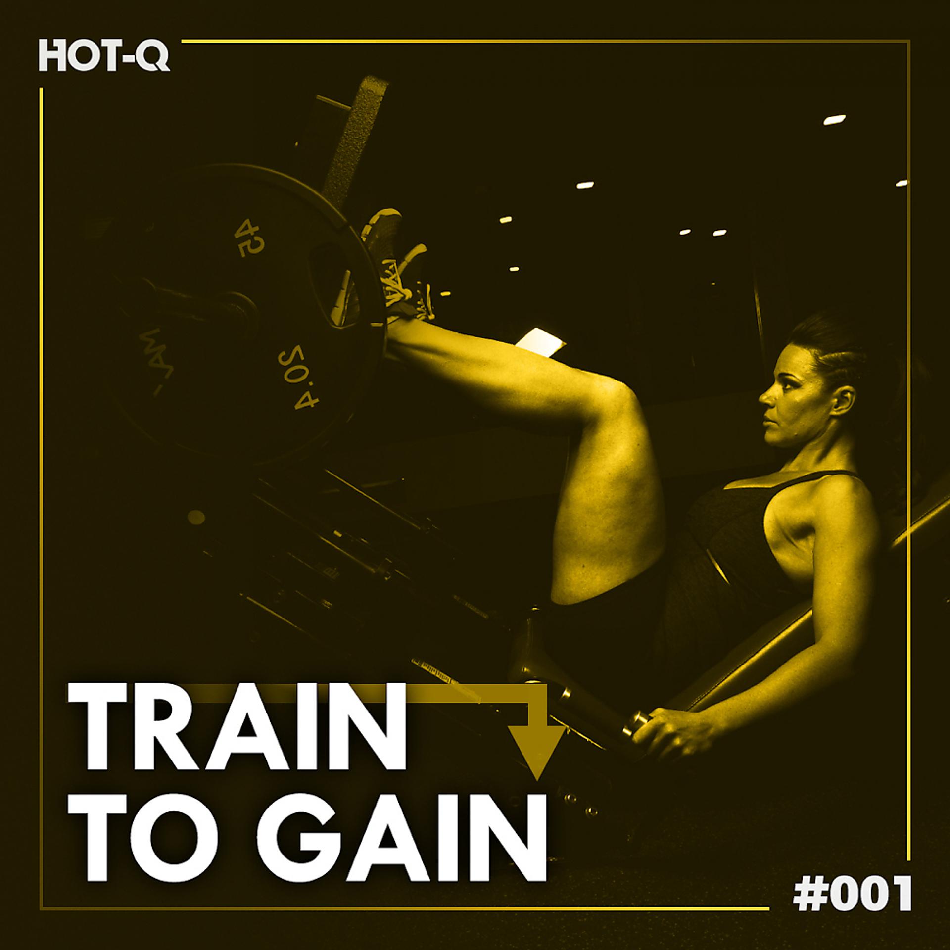 Постер альбома Train To Gain 001