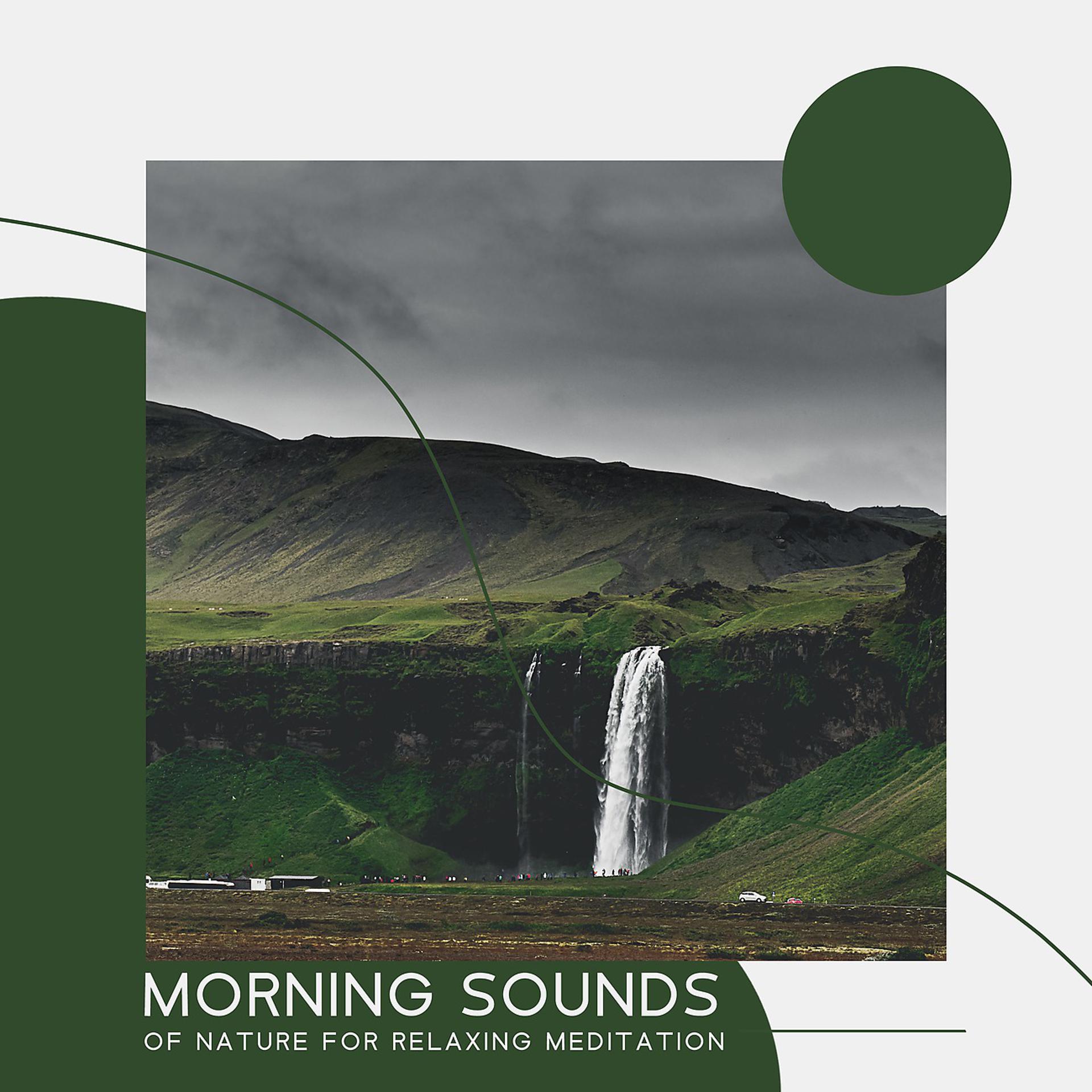 Постер альбома Morning Sounds of Nature for Relaxing Meditation