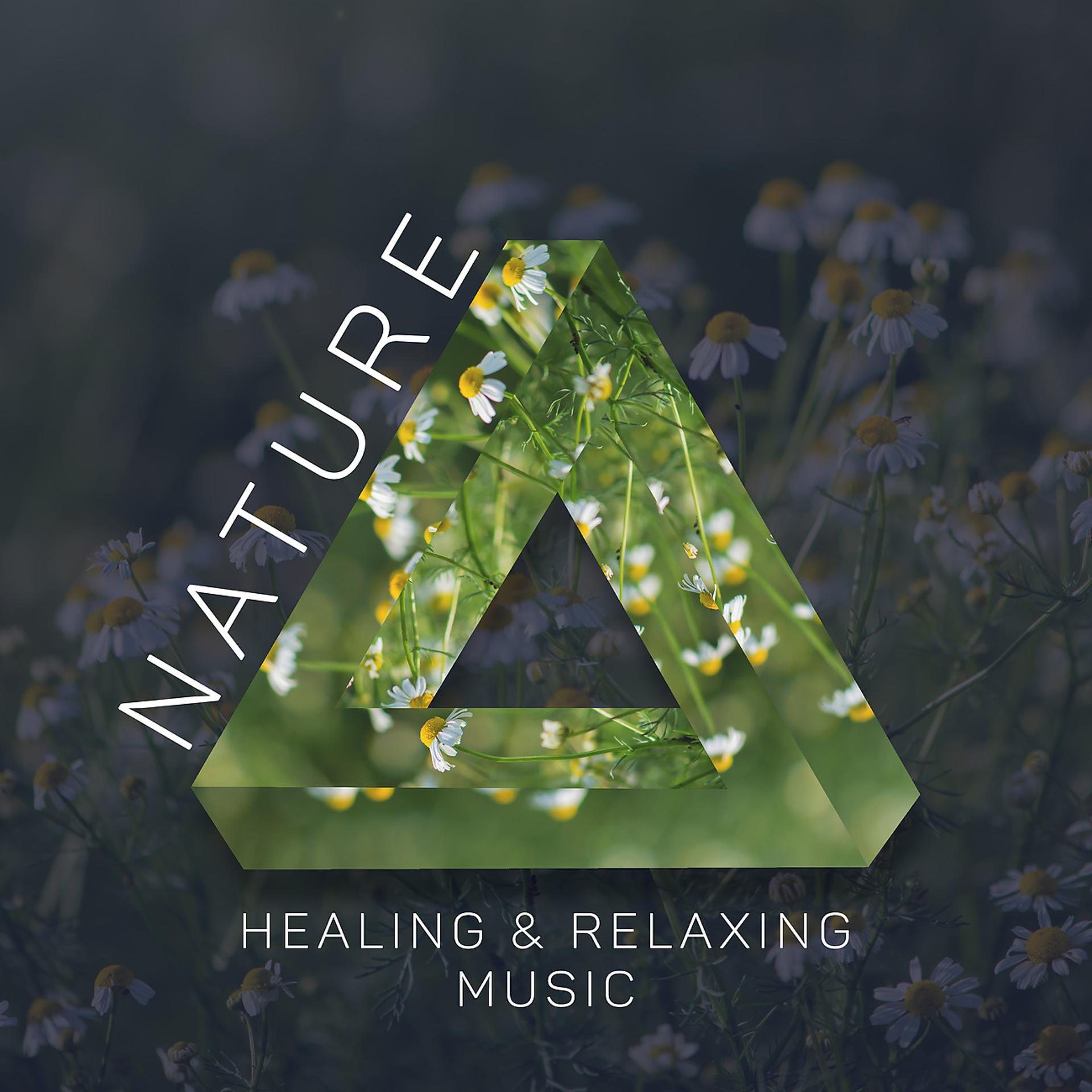 Постер альбома Nature Healing & Relaxing Music - Nature Medicine, Imagination Booster
