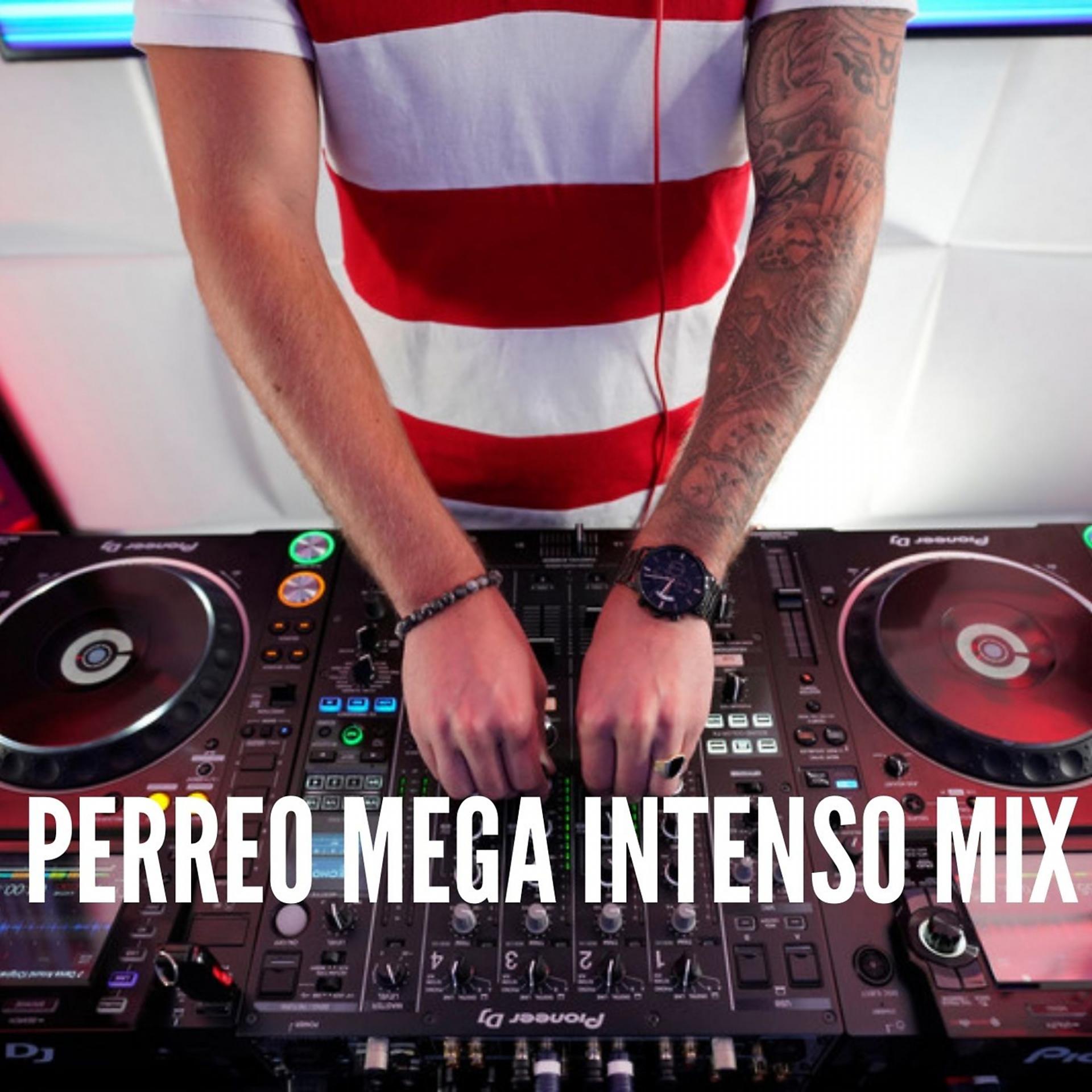 Постер альбома Perreo Mega Intenso Mix