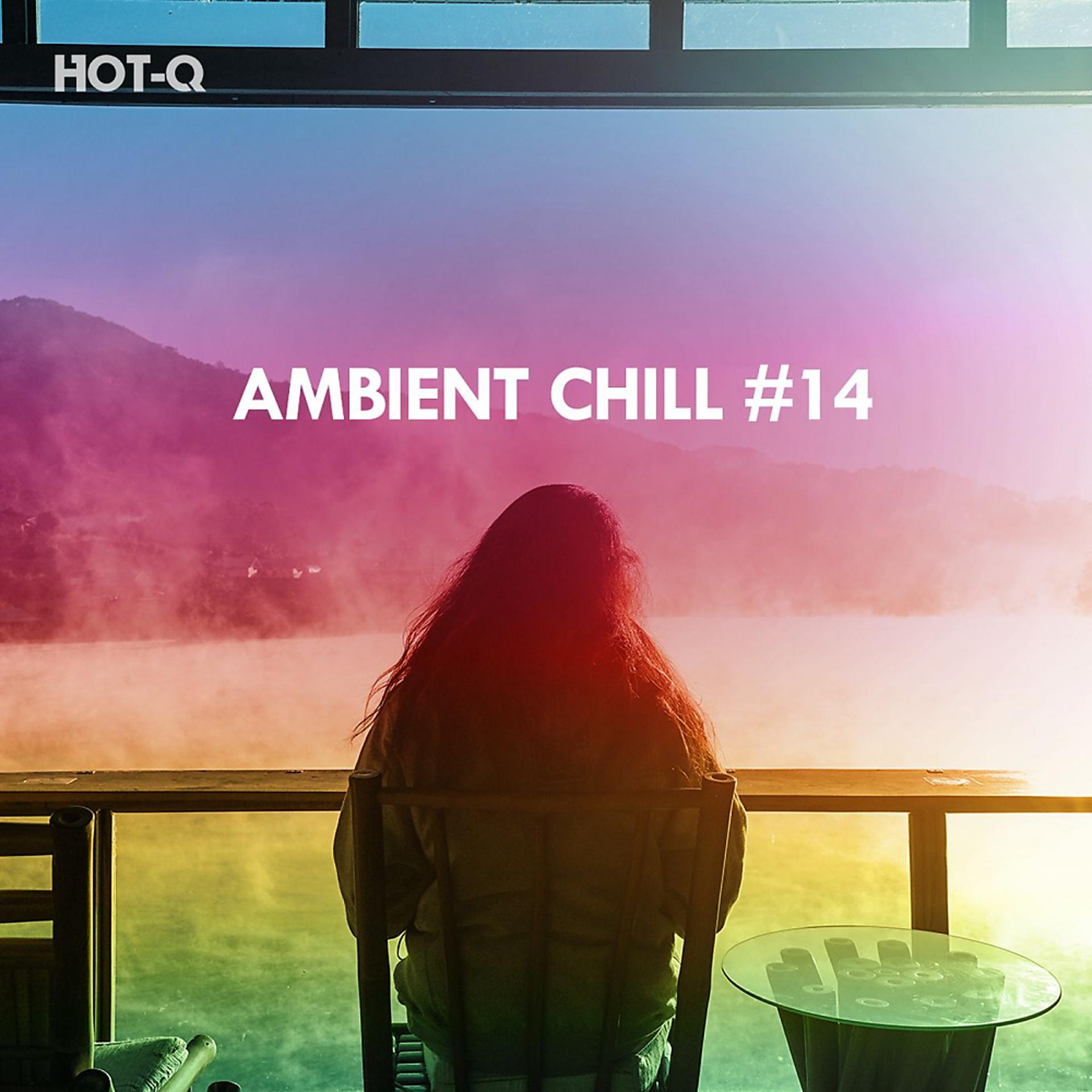 Постер альбома Ambient Chill, Vol. 14