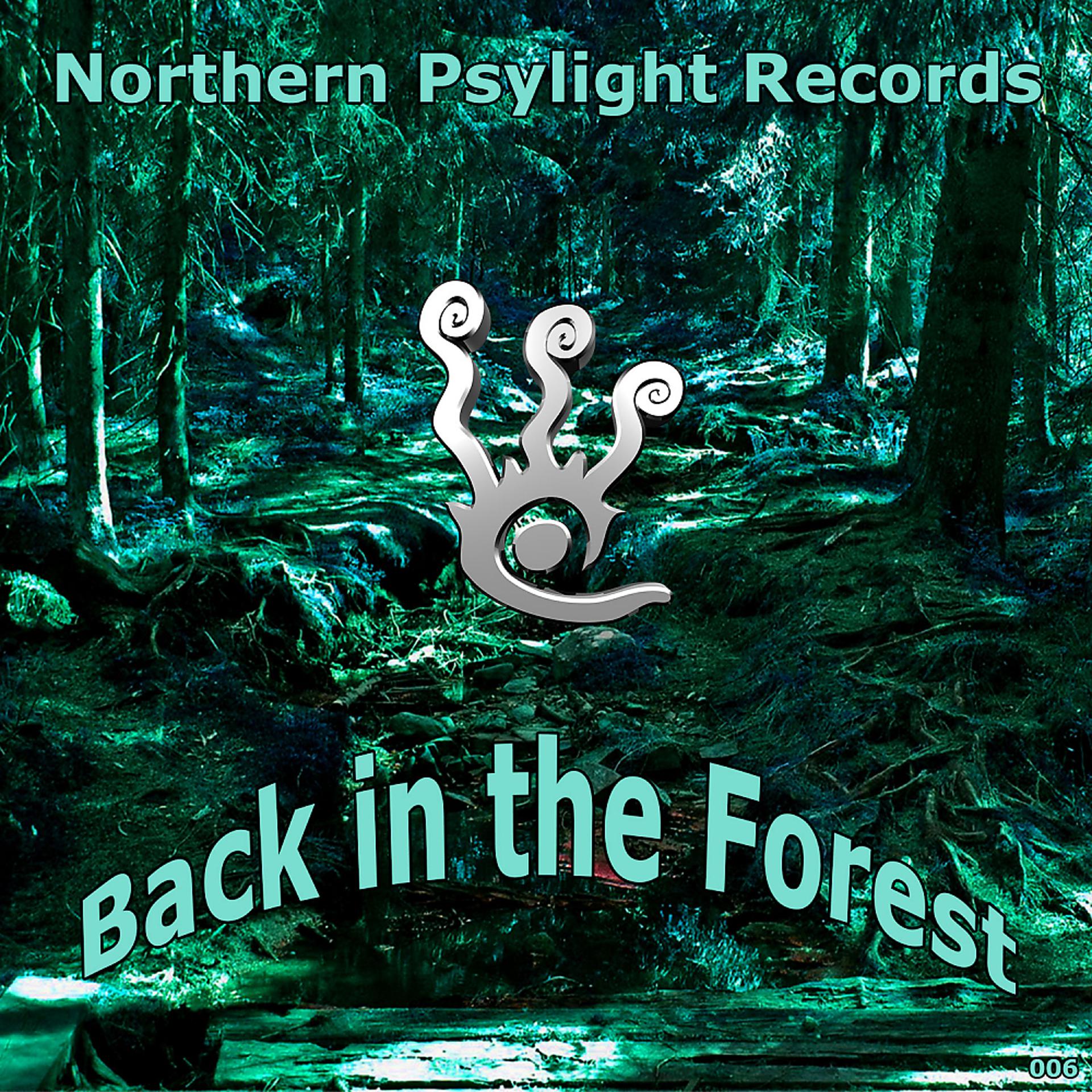 Постер альбома Back In The Forest