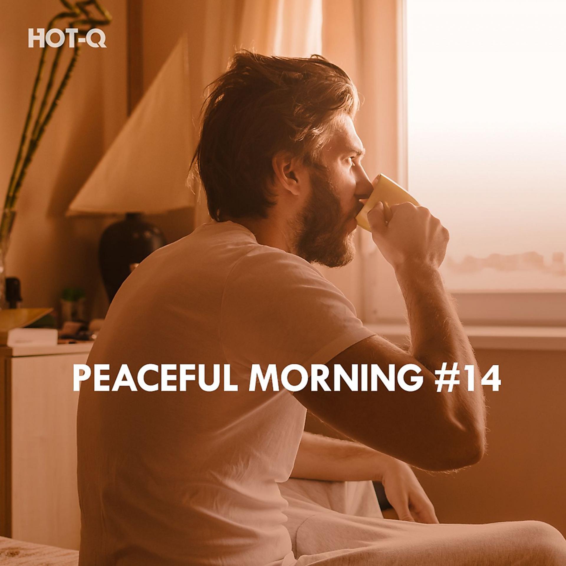Постер альбома Peaceful Morning, Vol. 14