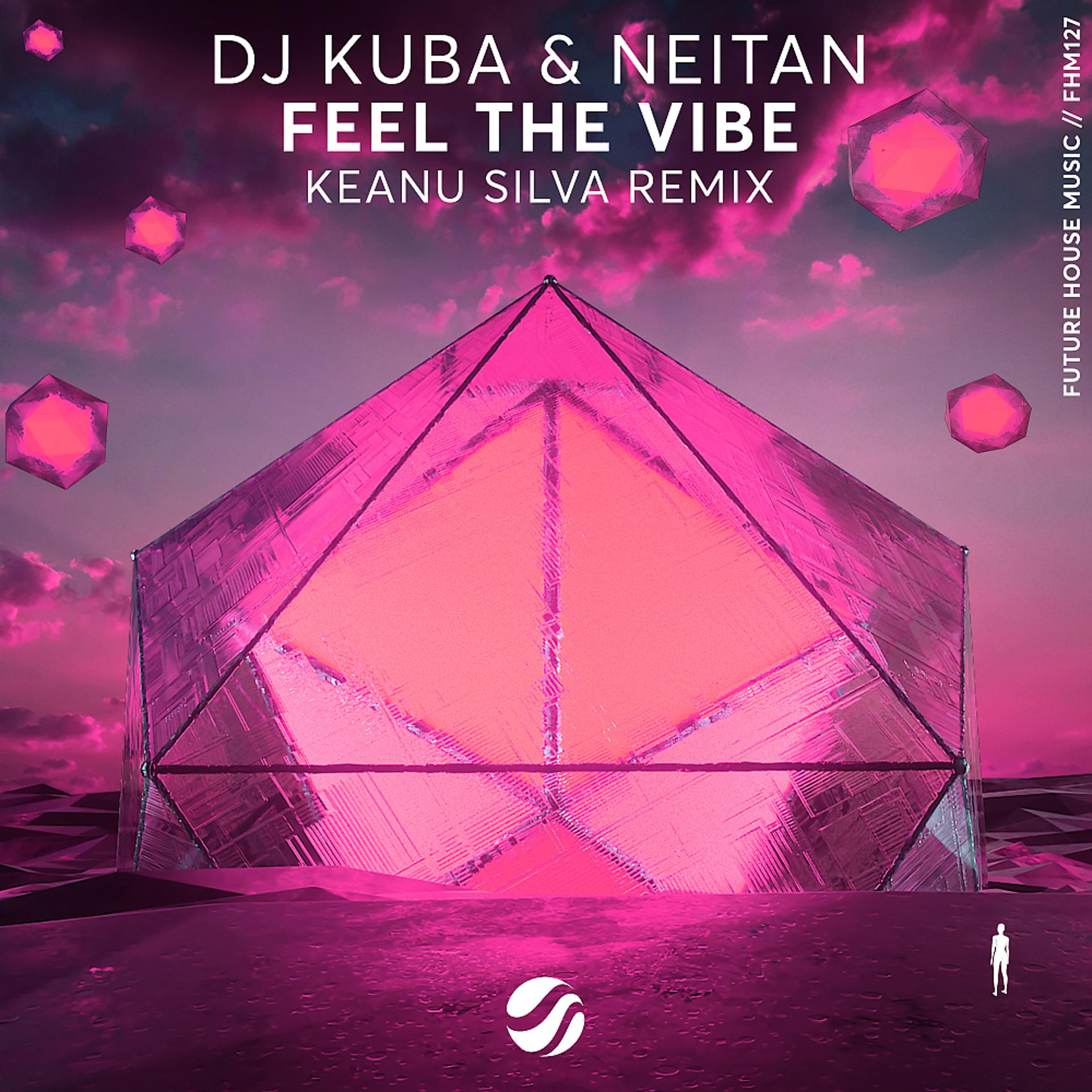 Постер альбома Feel The Vibe (Keanu Silva Remix)