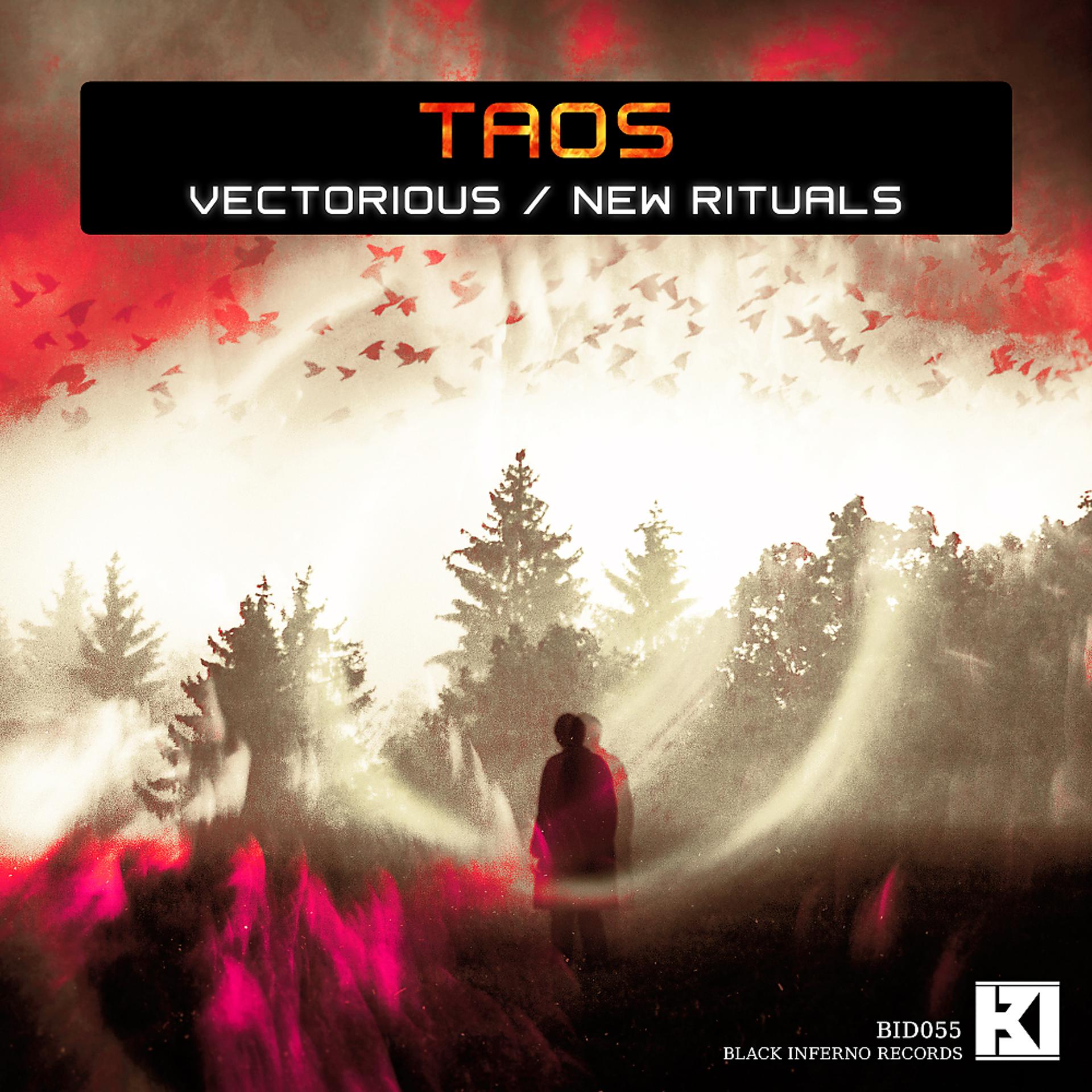 Постер альбома Vectorious / New Rituals