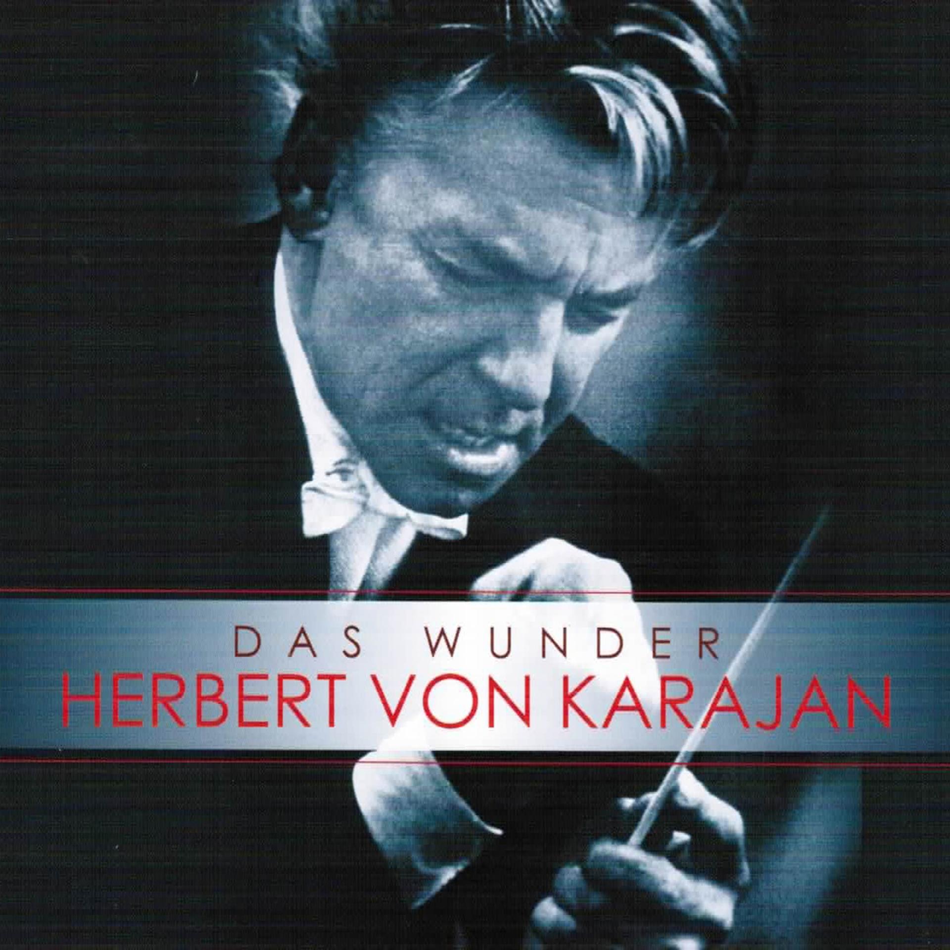 Постер альбома Das Wunder