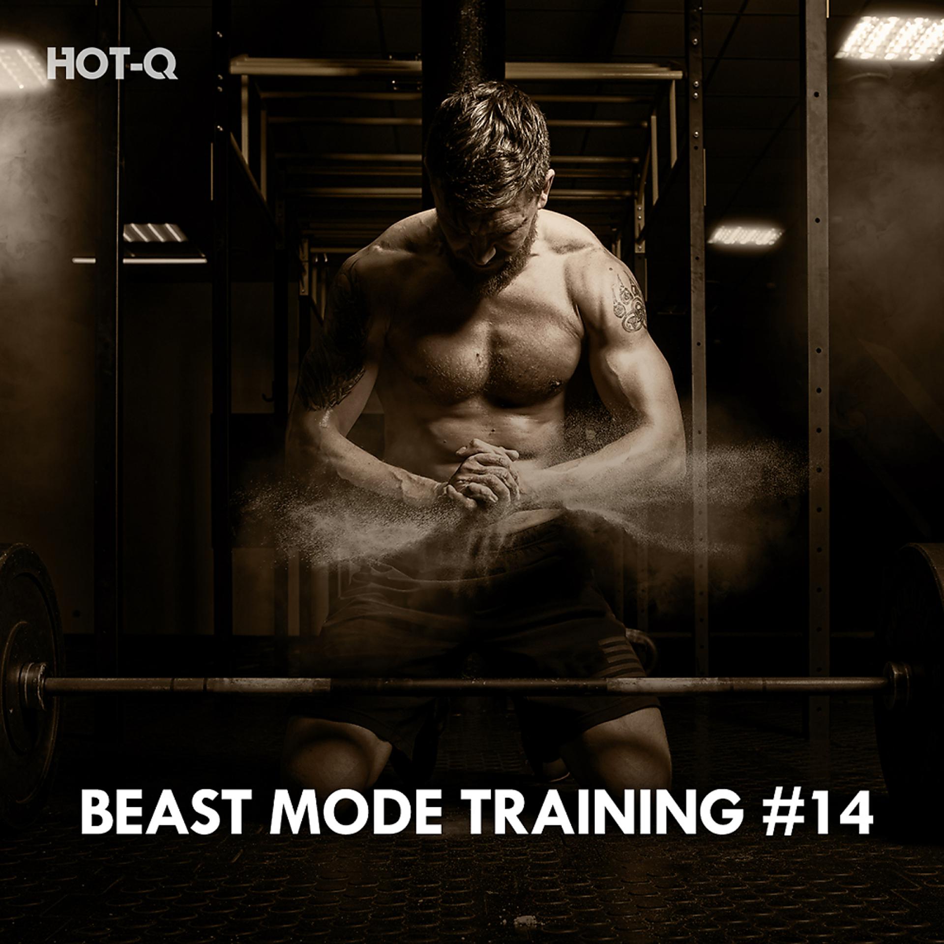 Постер альбома Beast Mode Training, Vol. 14