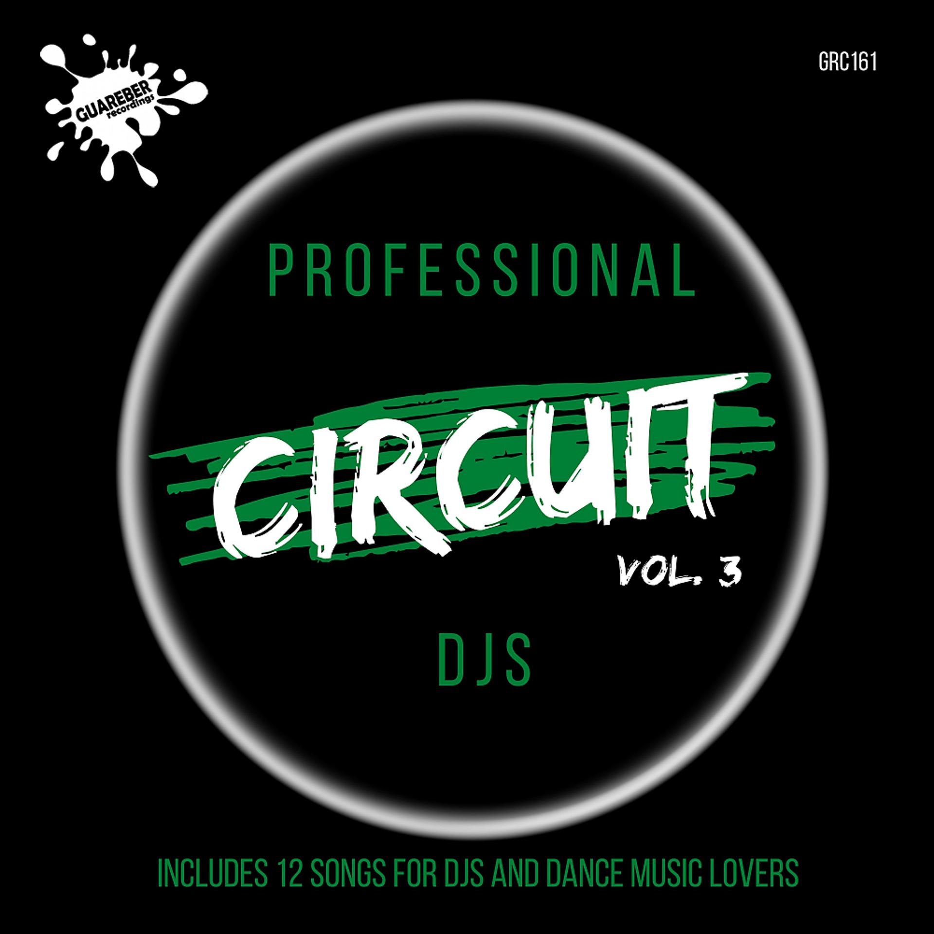 Постер альбома Professional Circuit Djs Compilation, Vol. 3