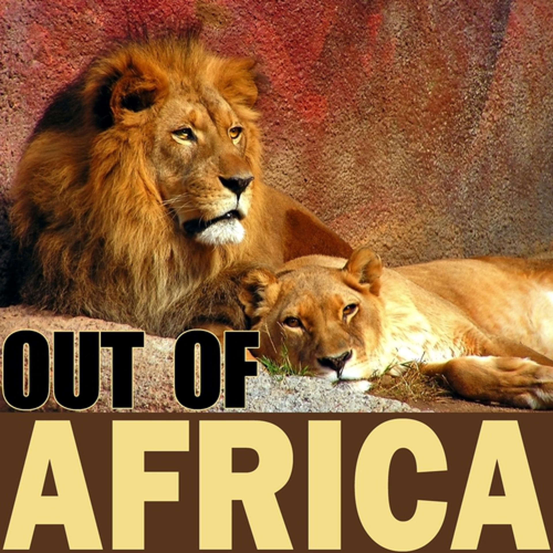 Постер альбома Out of Africa (African Beats)