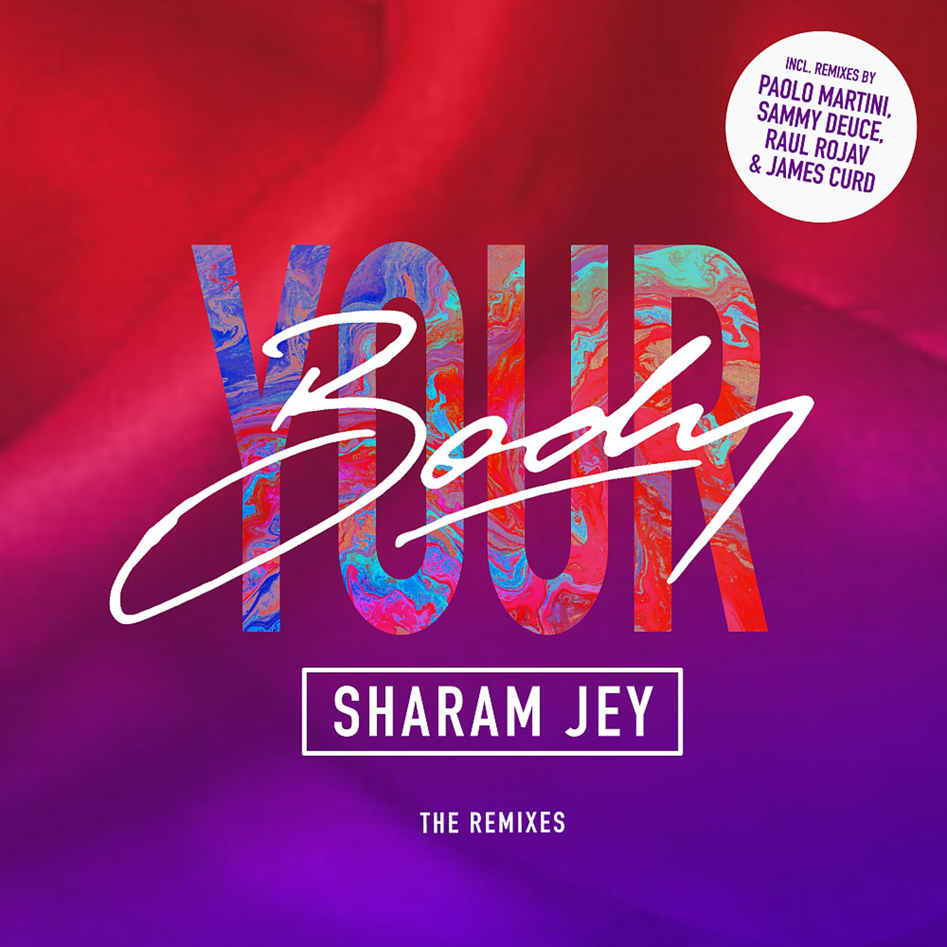 Постер альбома Your Body (The Remixes)