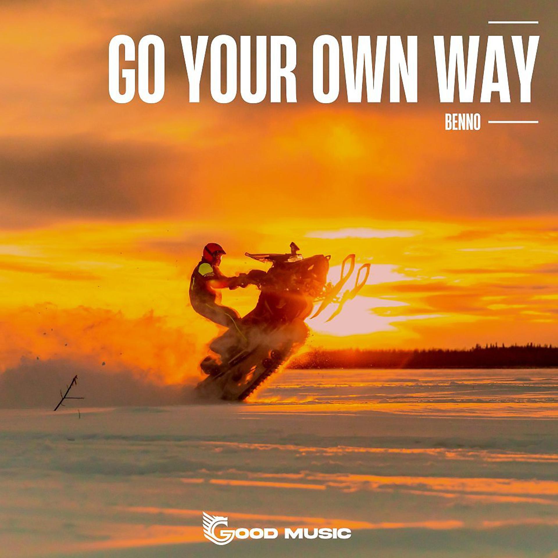 Постер альбома Go Your Own Way