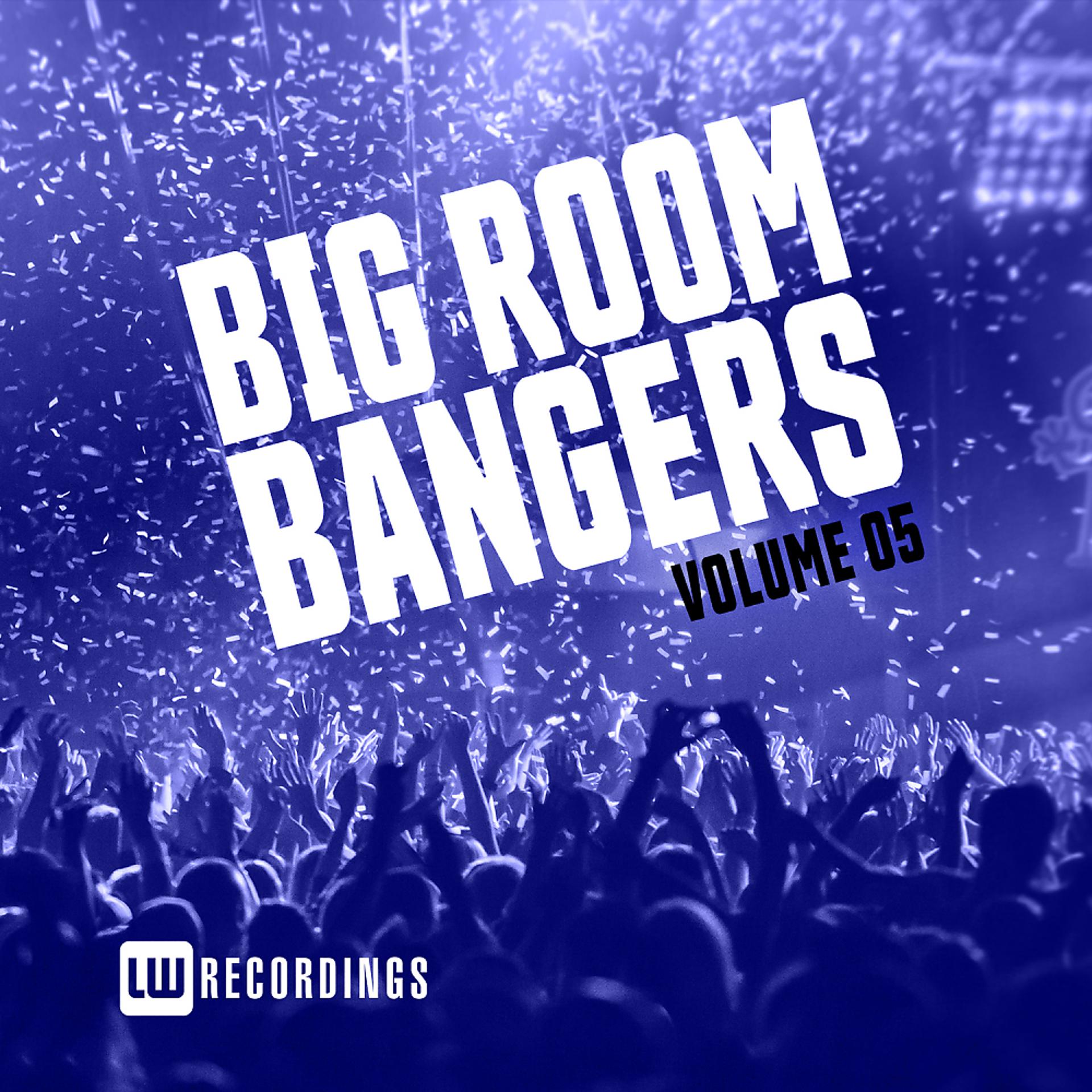 Постер альбома Big Room Bangers, Vol. 05