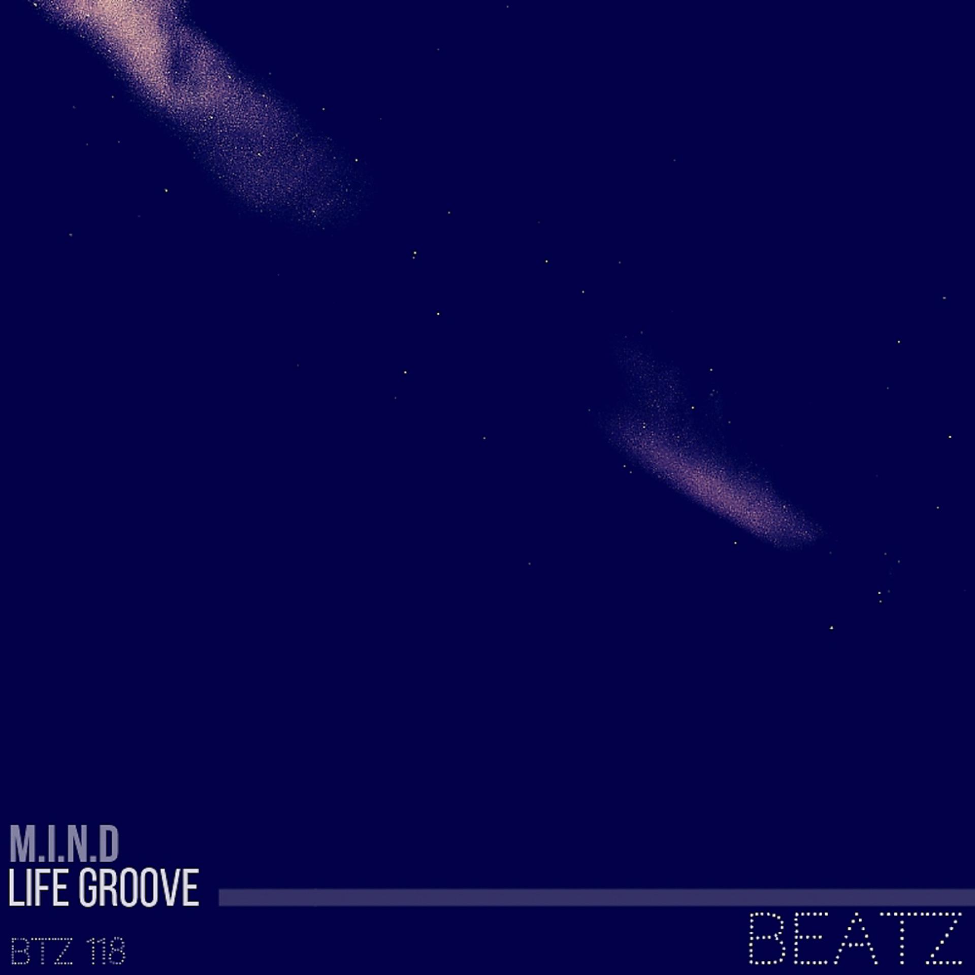Постер альбома Life Groove
