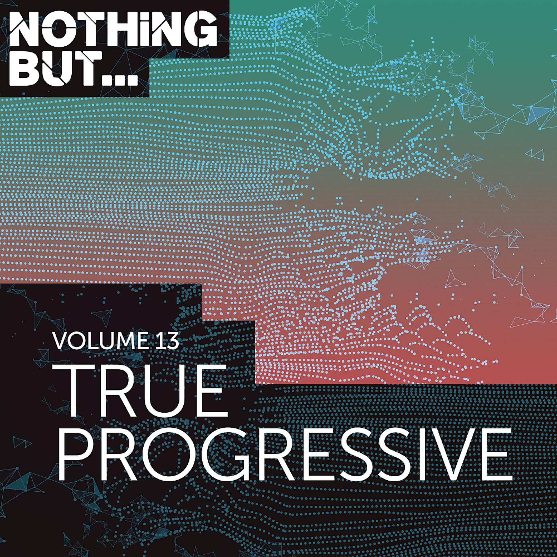 Постер альбома Nothing But... True Progressive, Vol. 13