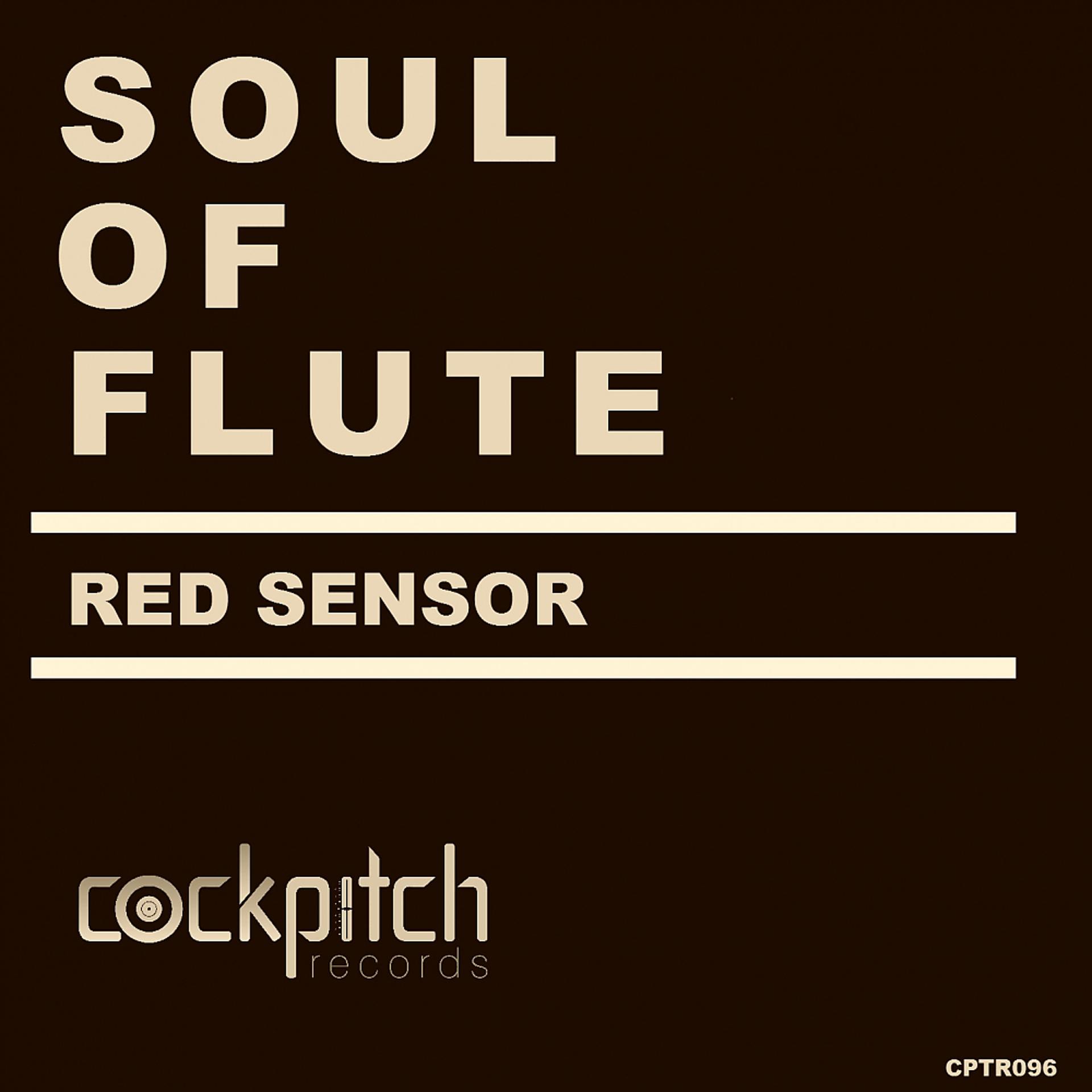 Постер альбома Soul Of Flute