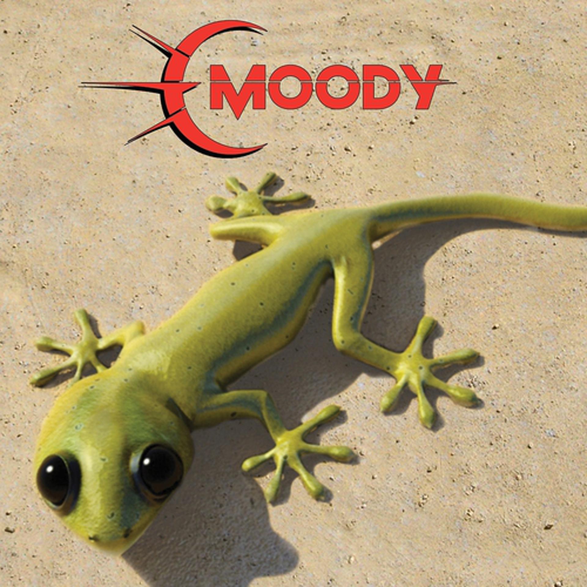 Постер альбома Moody