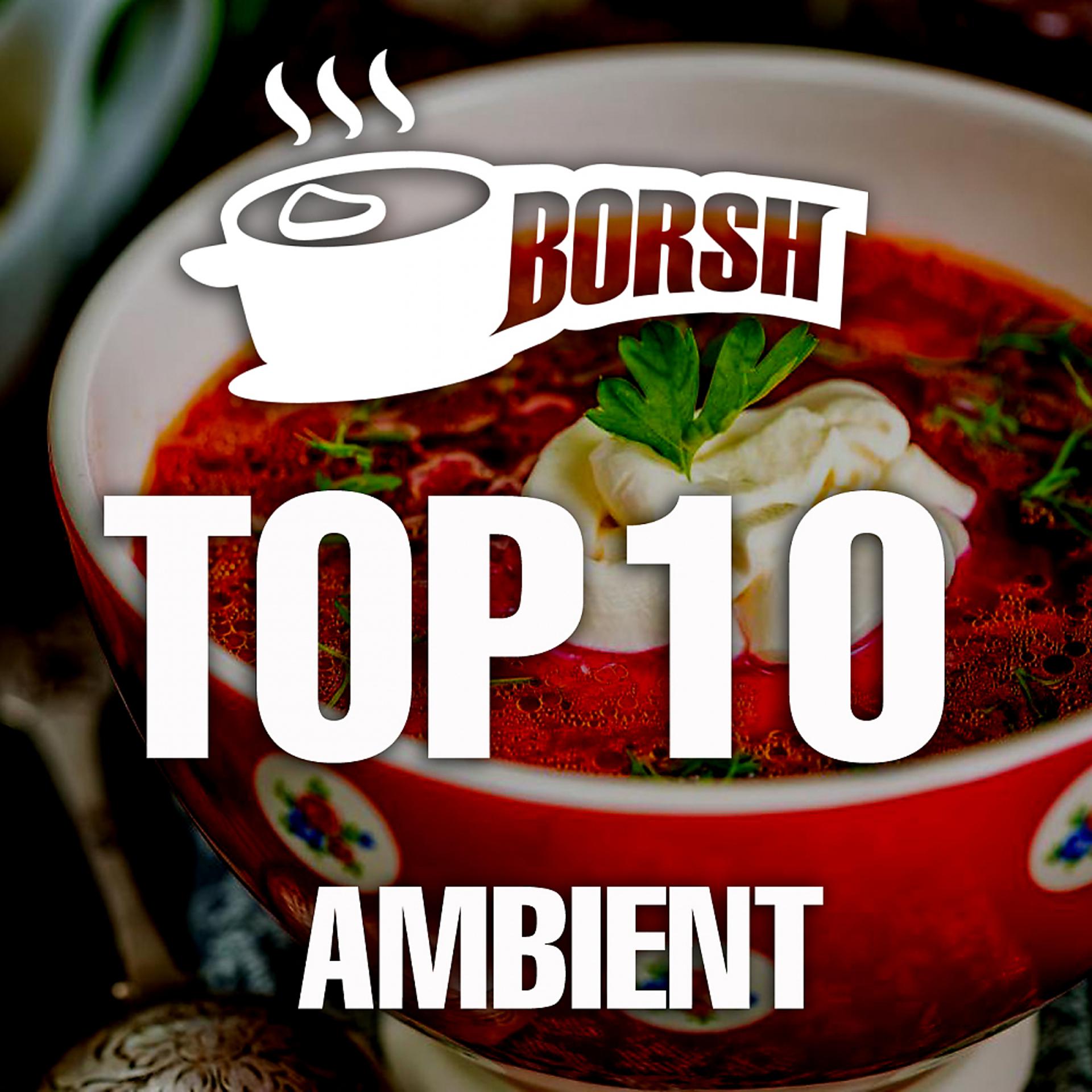 Постер альбома Borsh Top 10 Ambient