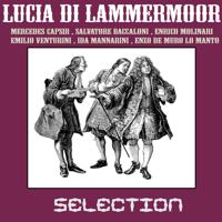 Постер альбома Lucia di lammermoor - selection (Gaetano donizetti)