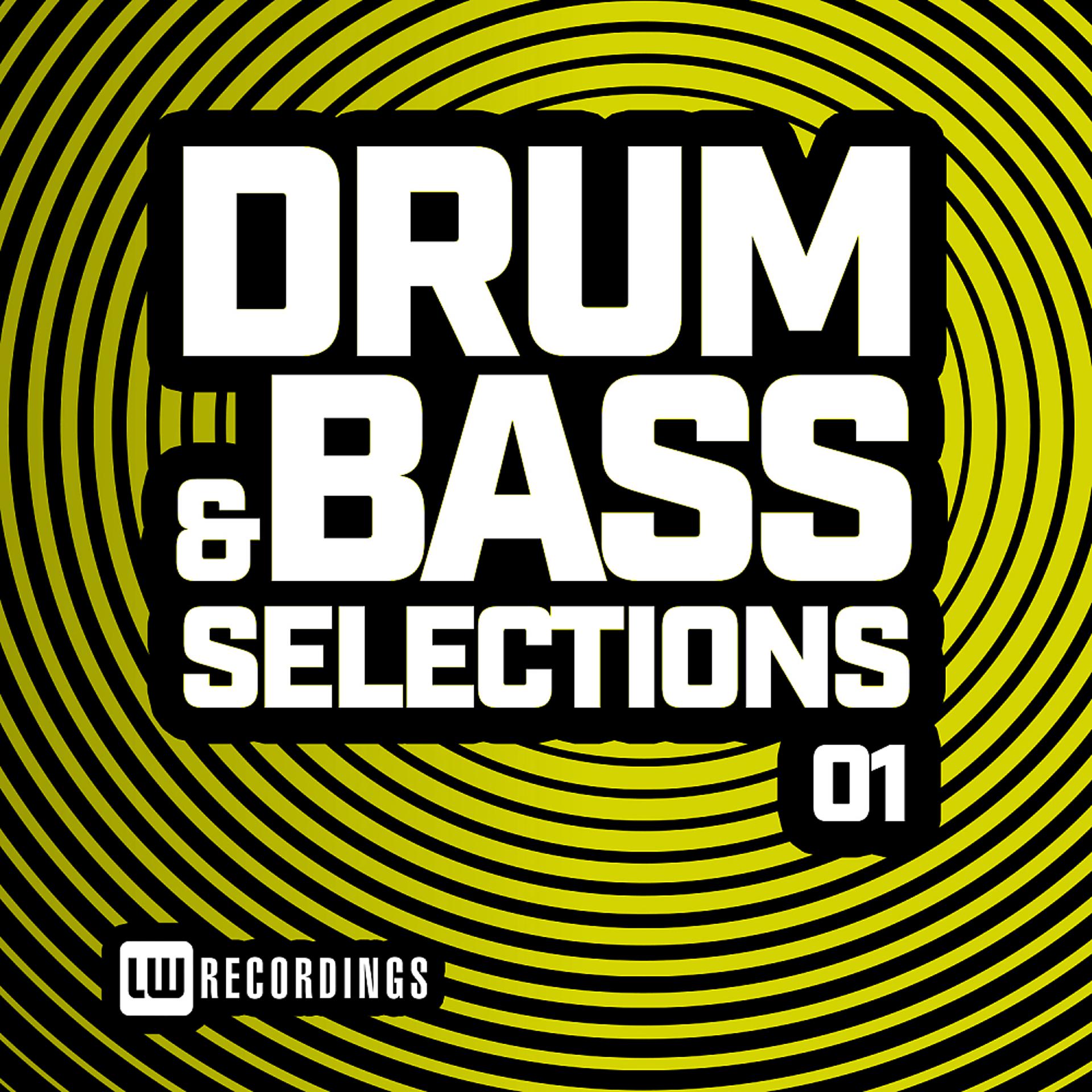 Постер альбома Drum & Bass Selections, Vol. 01