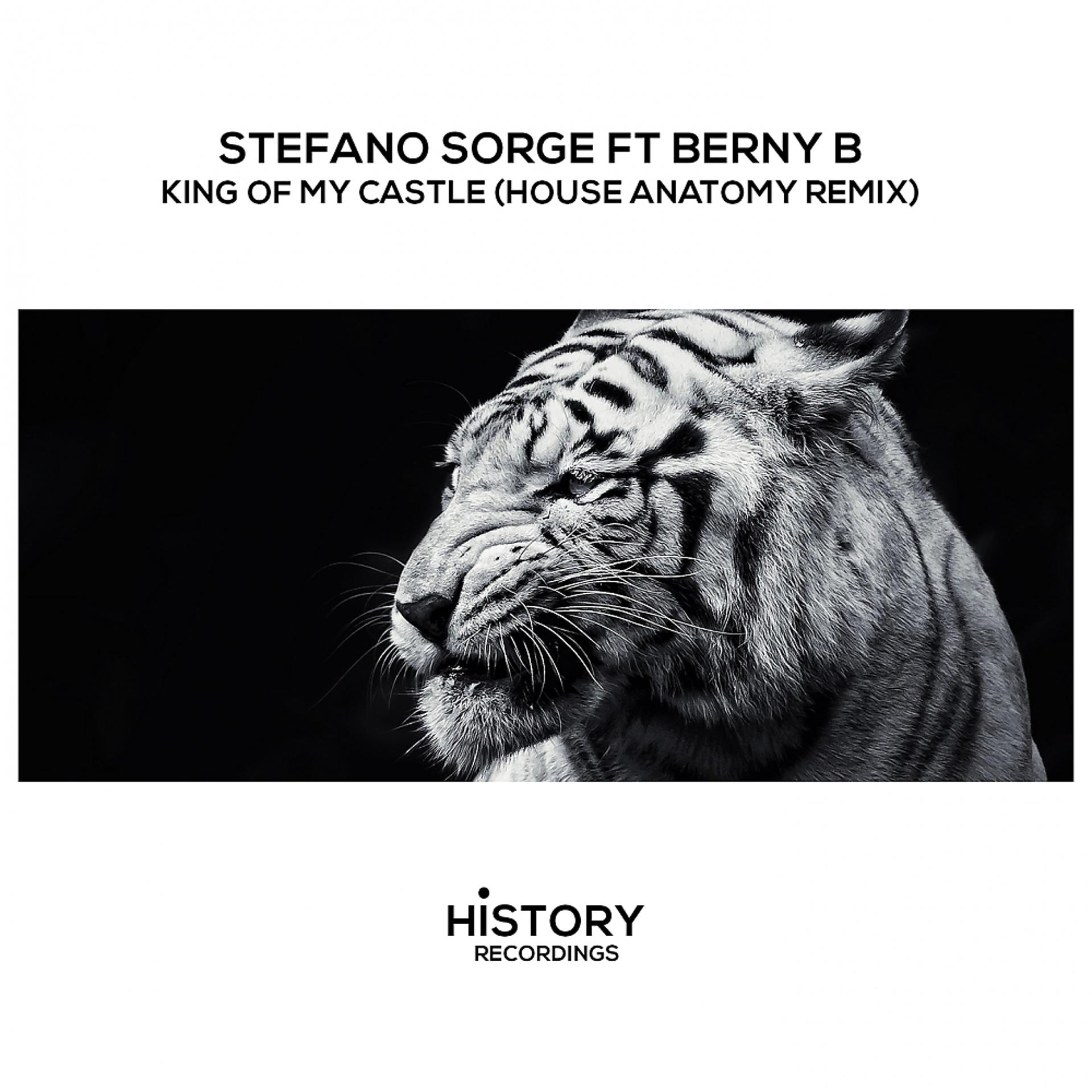 Постер альбома King Of My Castle (House Anatomy Classic Mix)