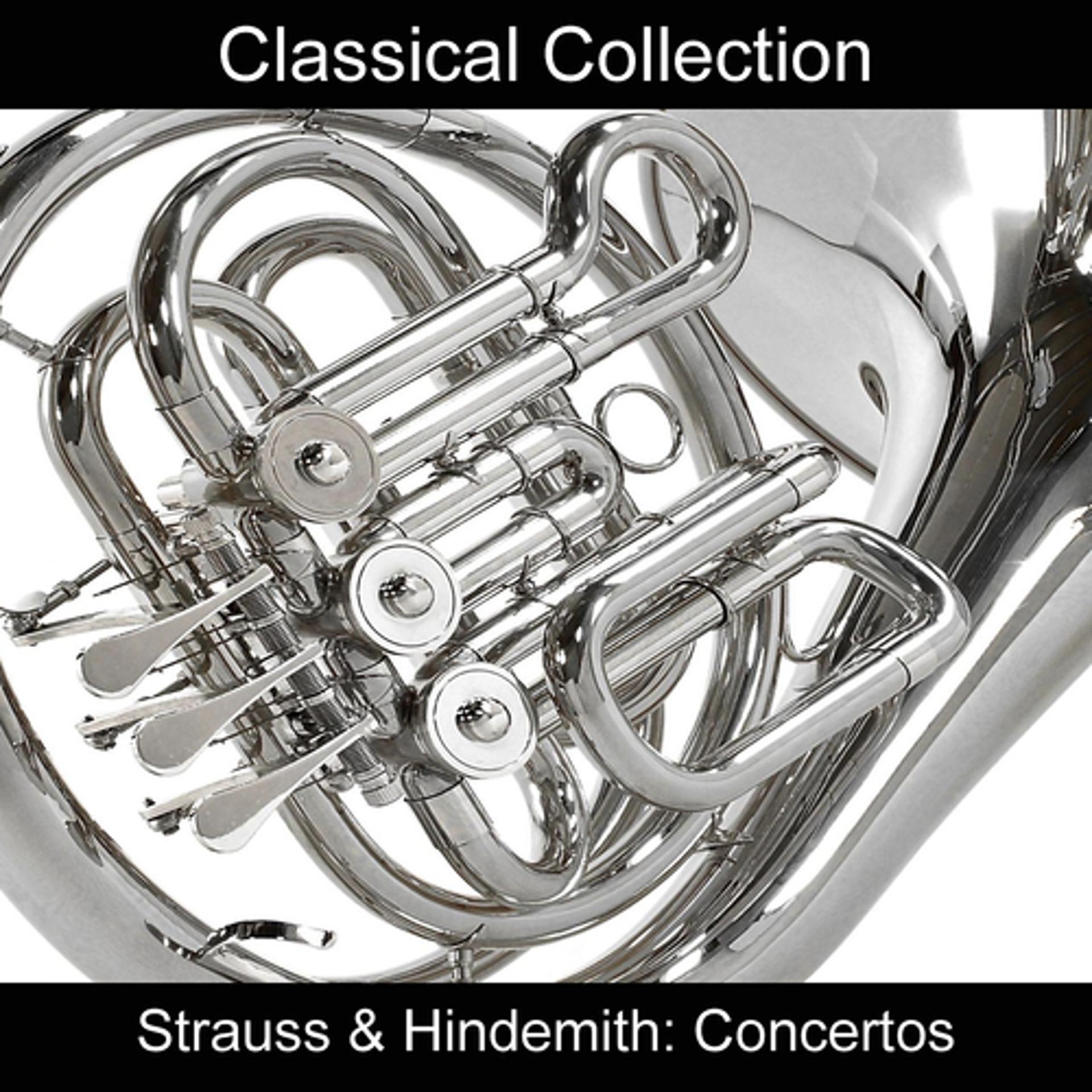 Постер альбома Strauss & Hindemith: Concertos