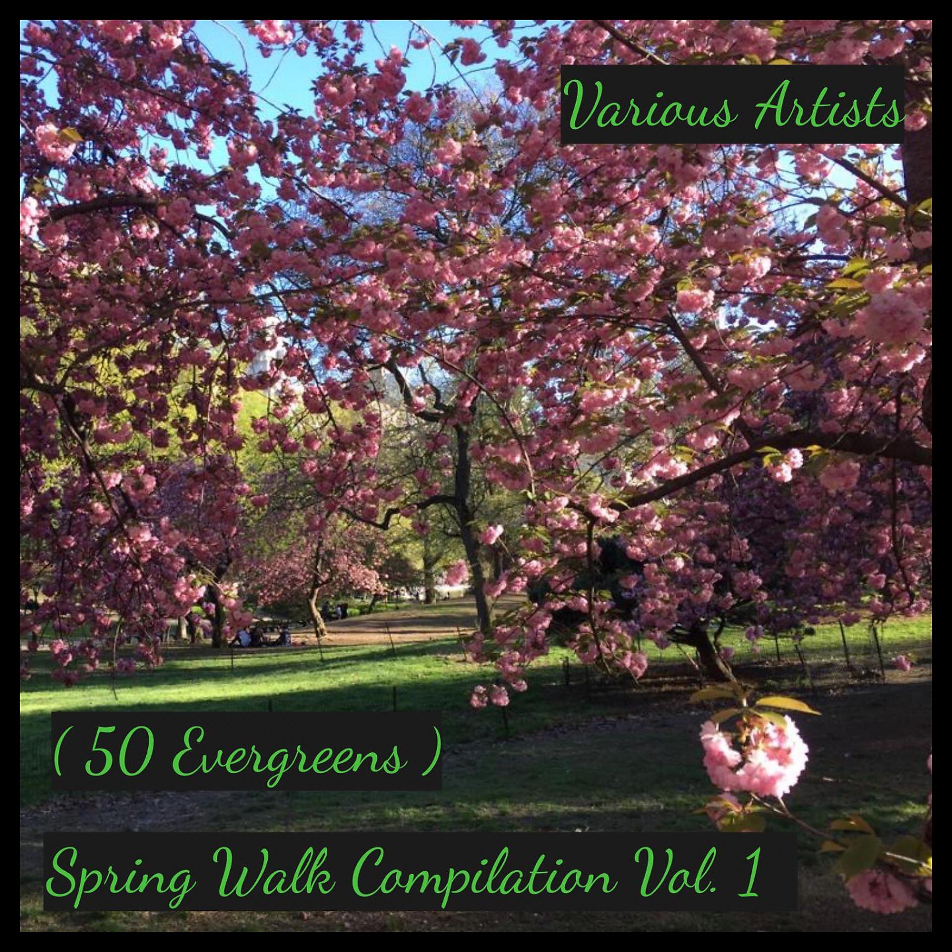 Постер альбома Spring Walk Compilation, Vol. 1