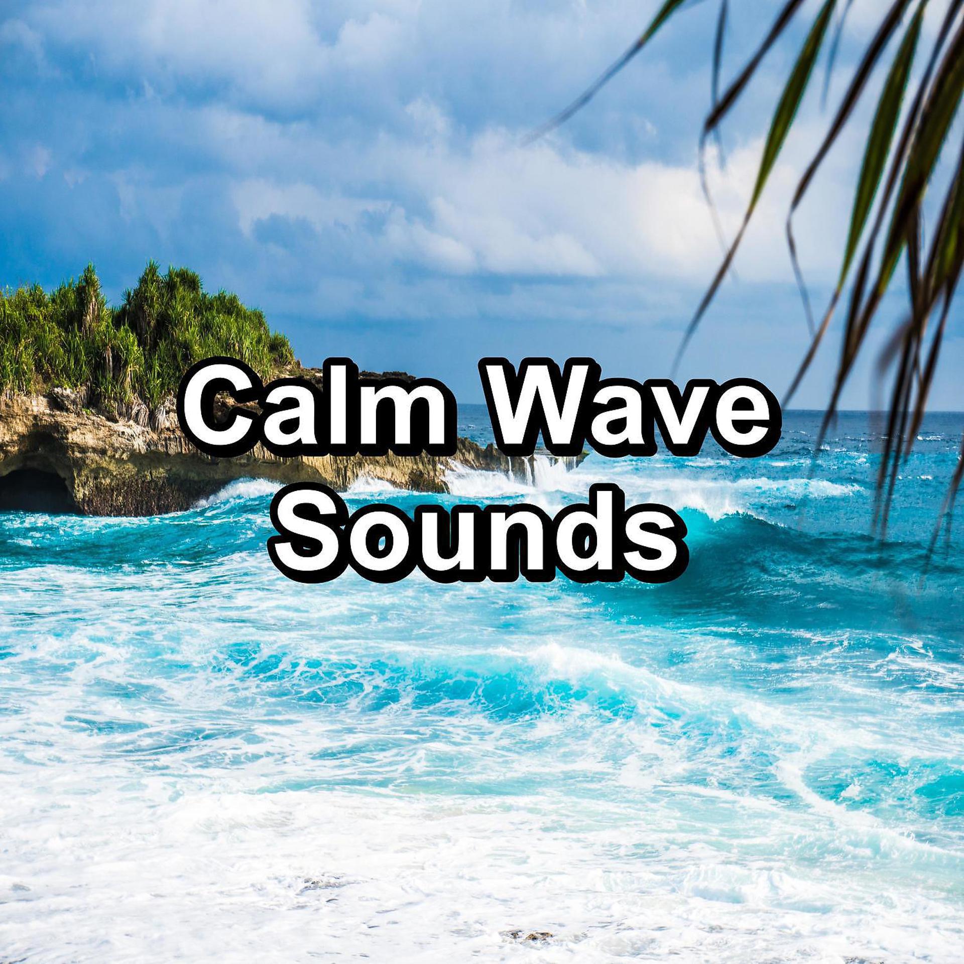 Постер альбома Calm Wave Sounds