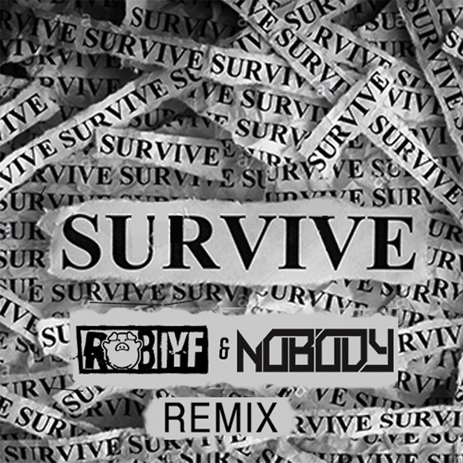 Постер альбома Survive (Rob IYF & Nobody Remix)