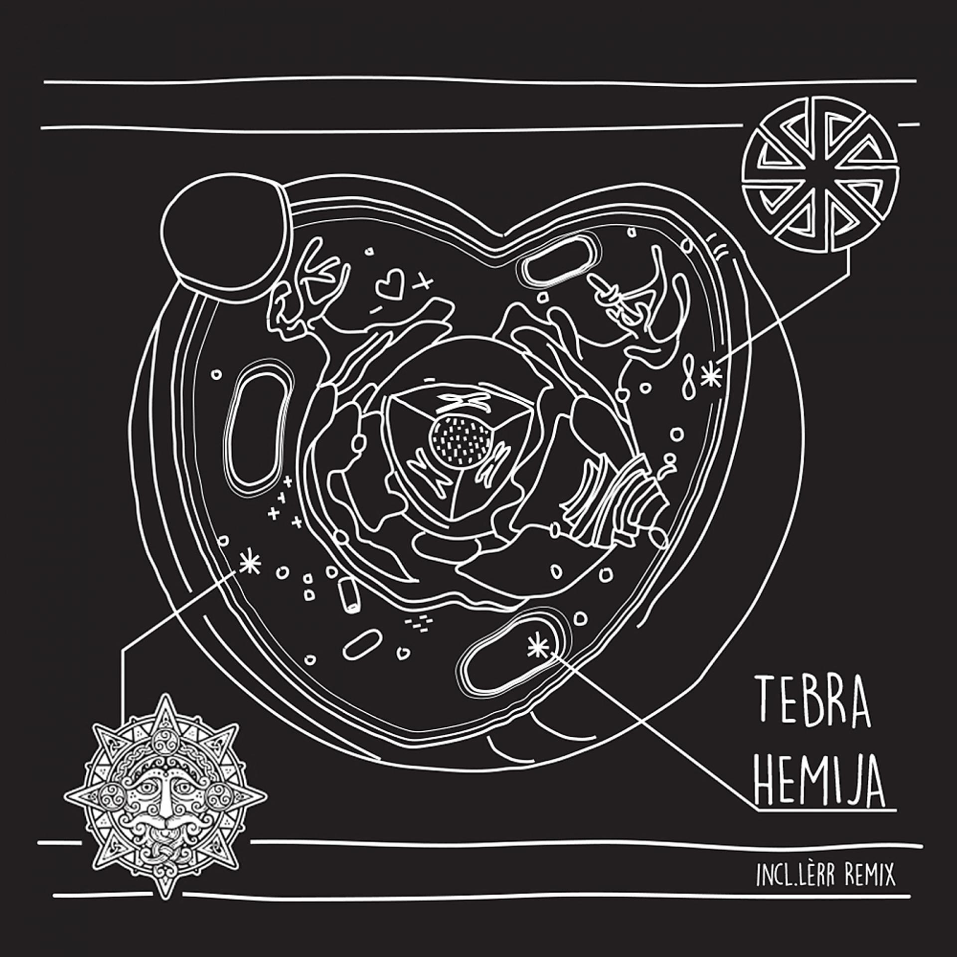 Постер альбома Hemija