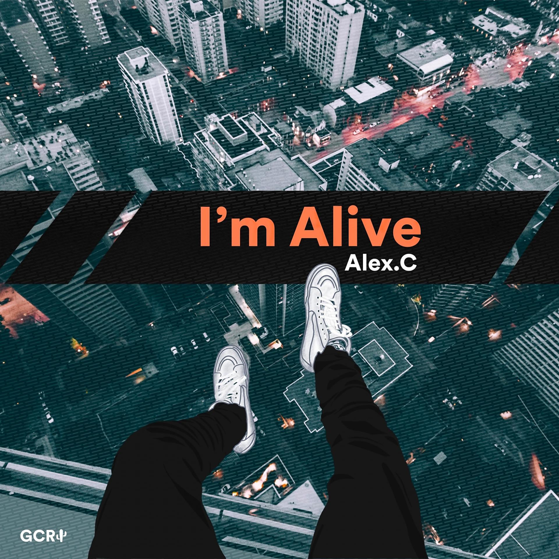 Постер альбома I'm Alive