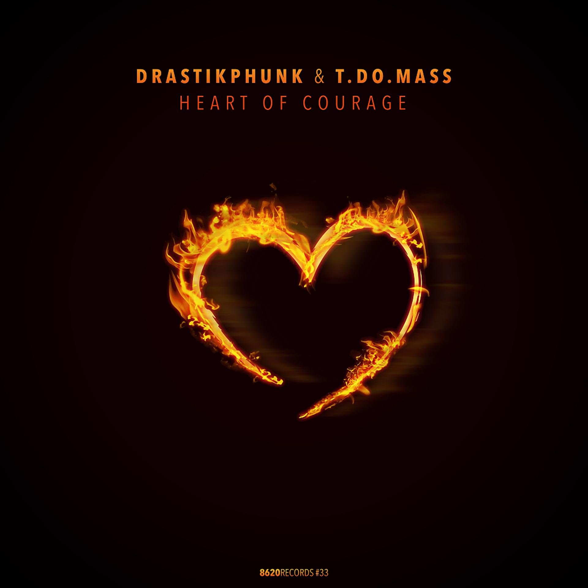 Постер альбома Heart Of Courage