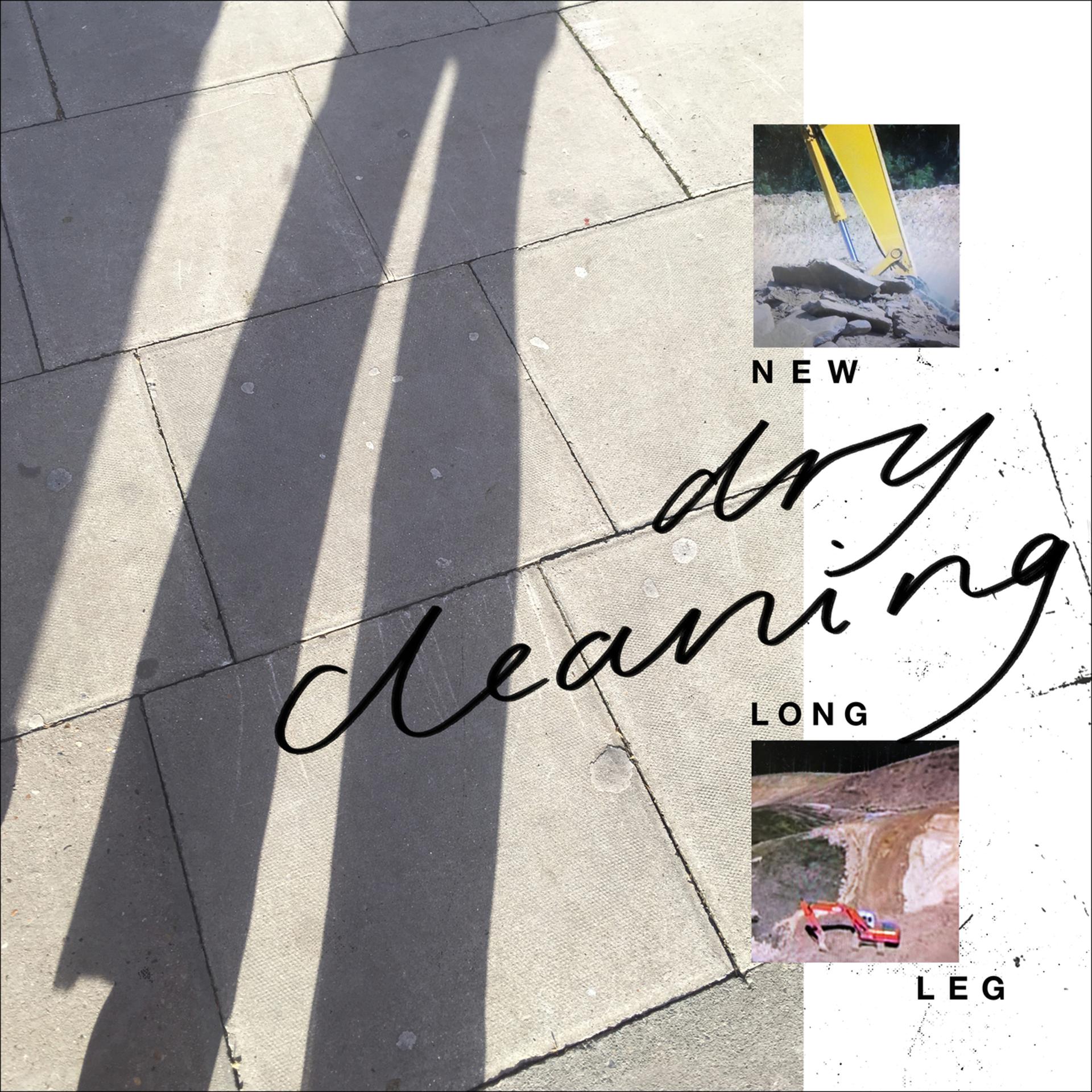 Постер альбома New Long Leg