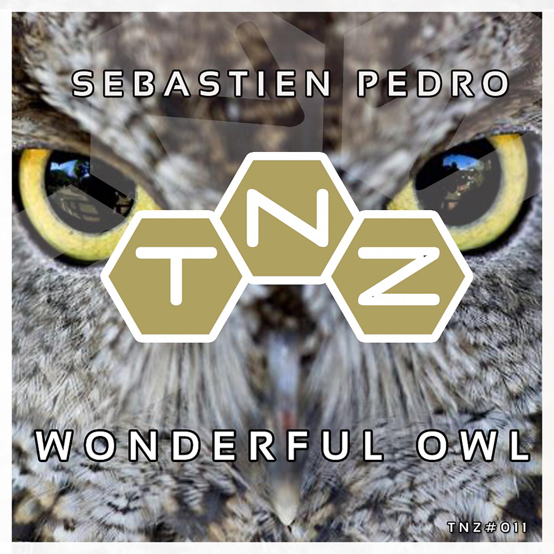 Постер альбома Wonderful Owl