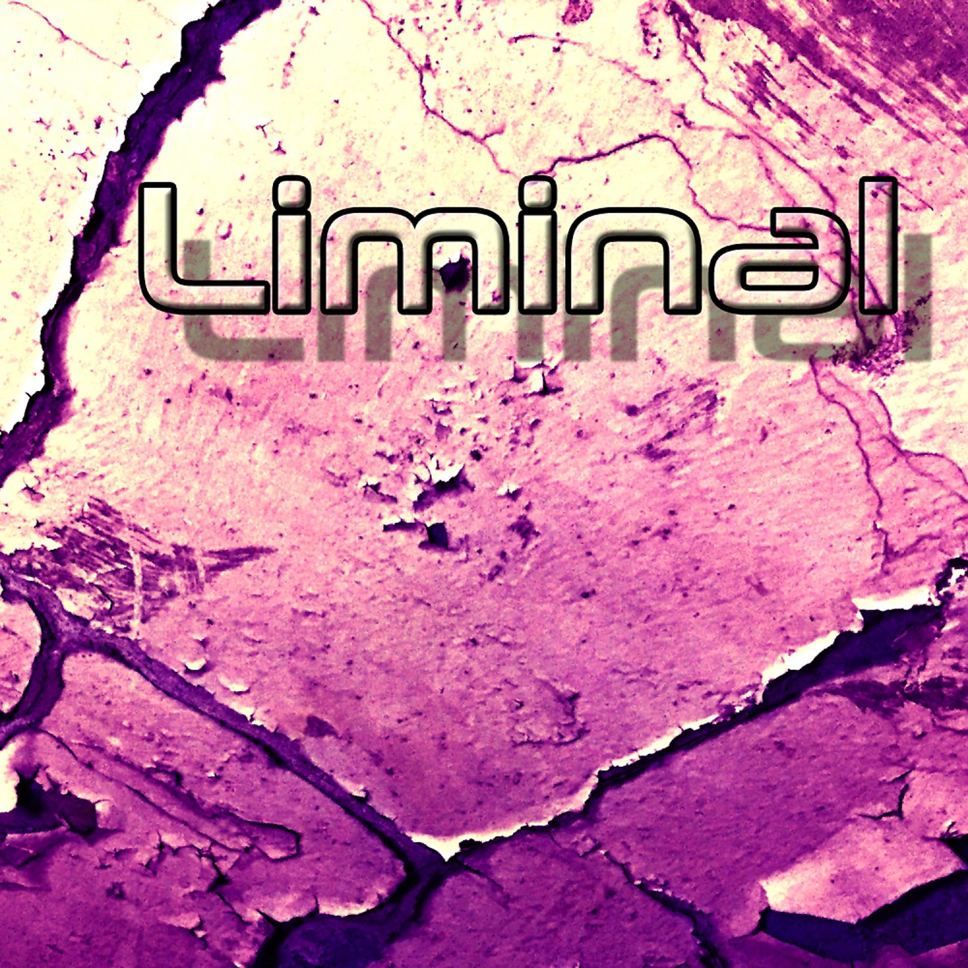 Постер альбома Liminal (Electric Mix)