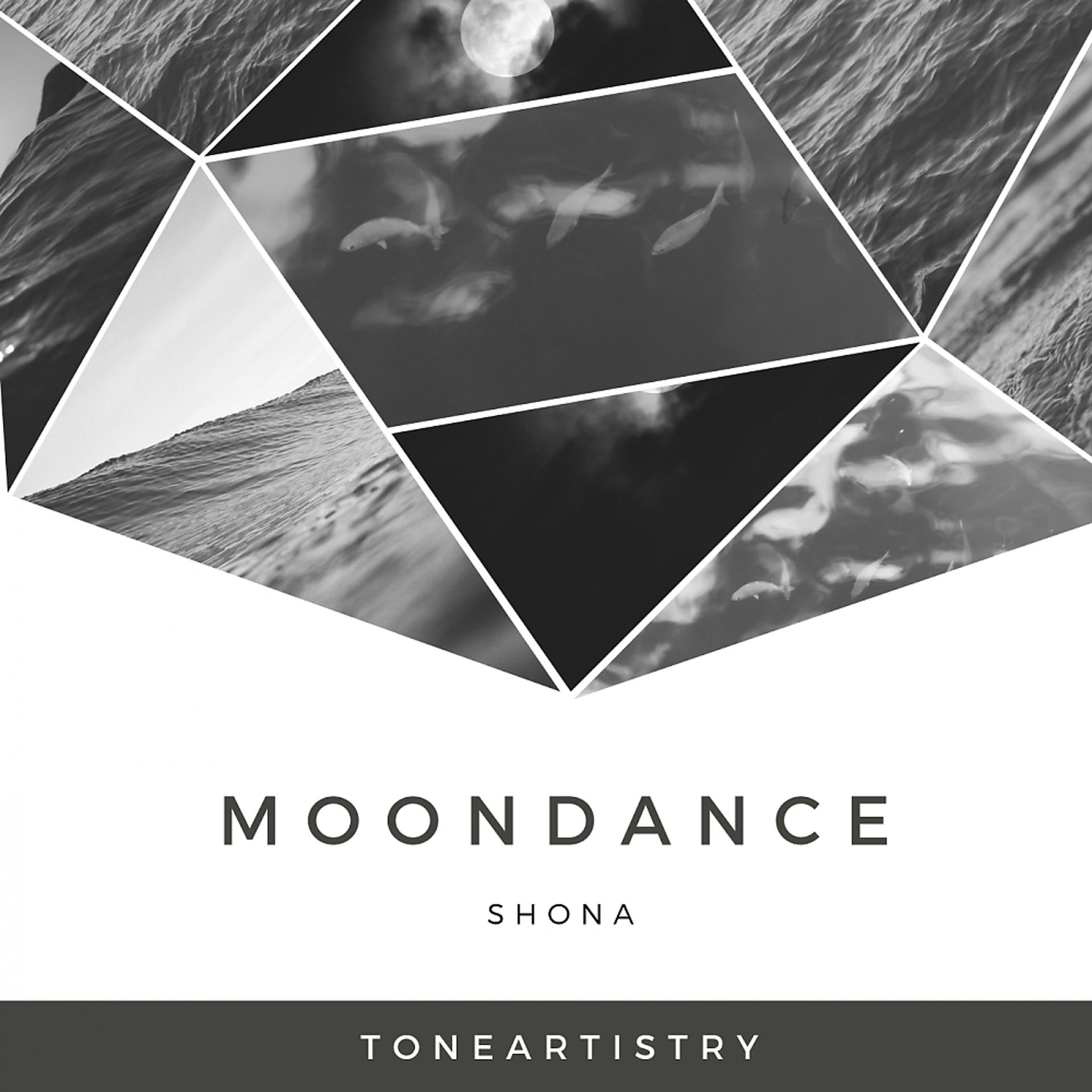 Постер альбома Moon Dance