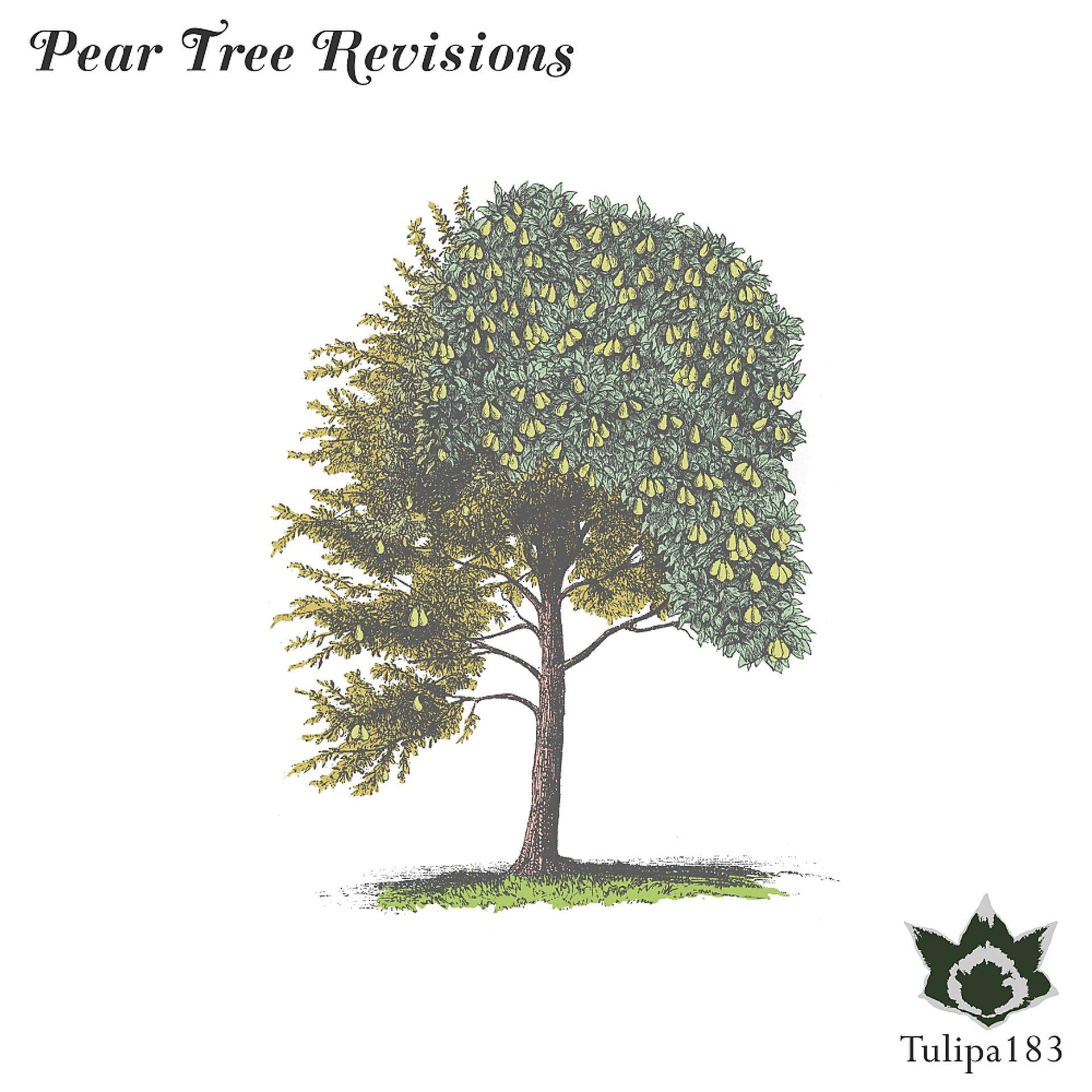 Постер альбома Pear Tree Revisions