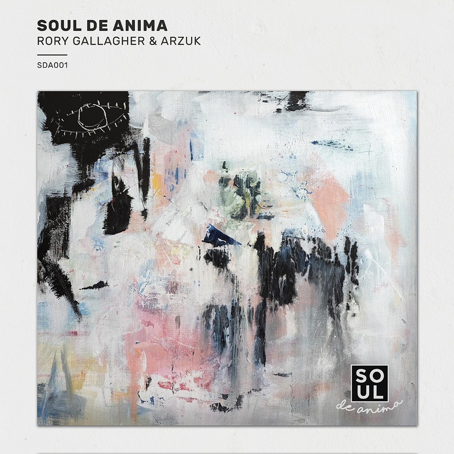 Постер альбома Soul De Anima