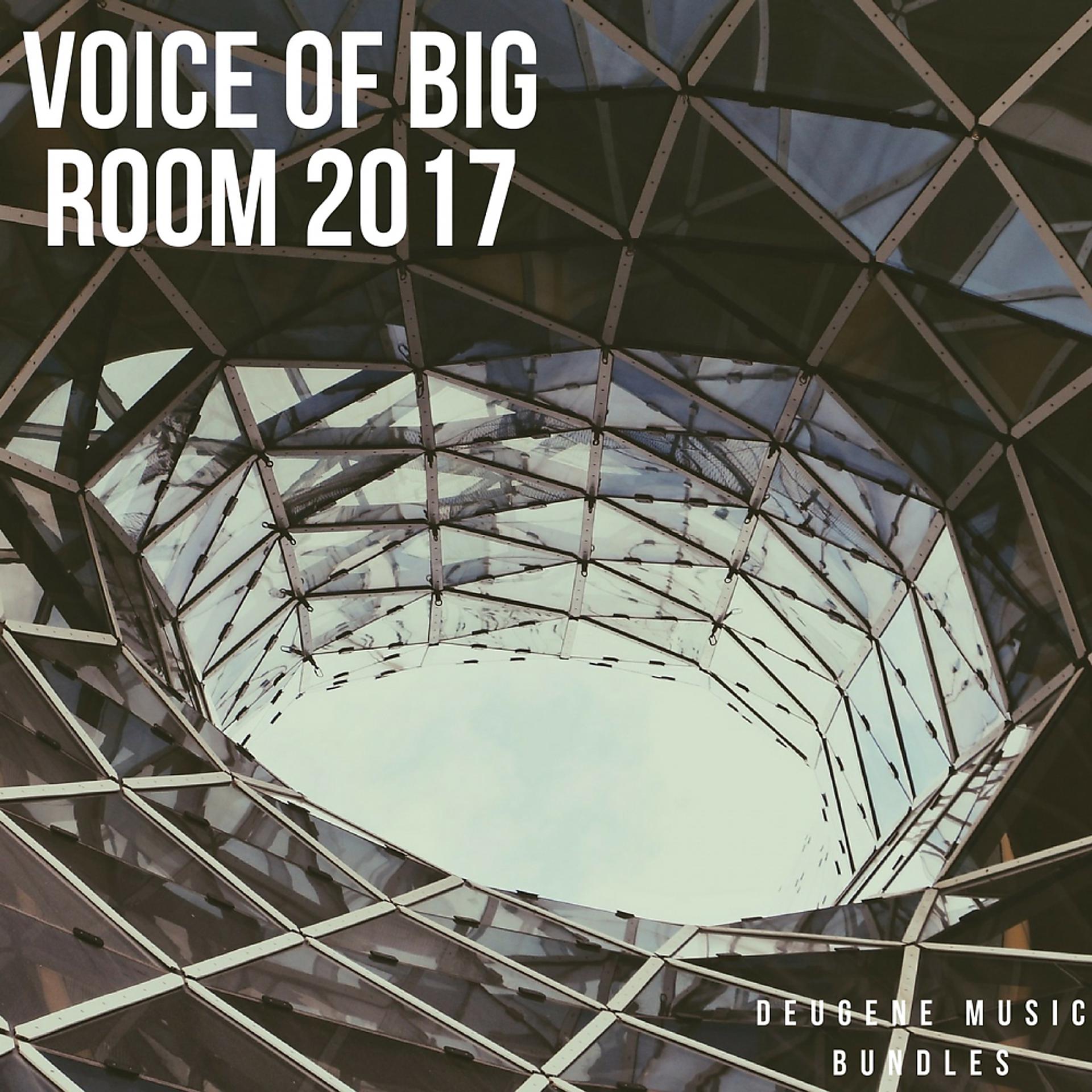 Постер альбома Voice Of Big Room 2017