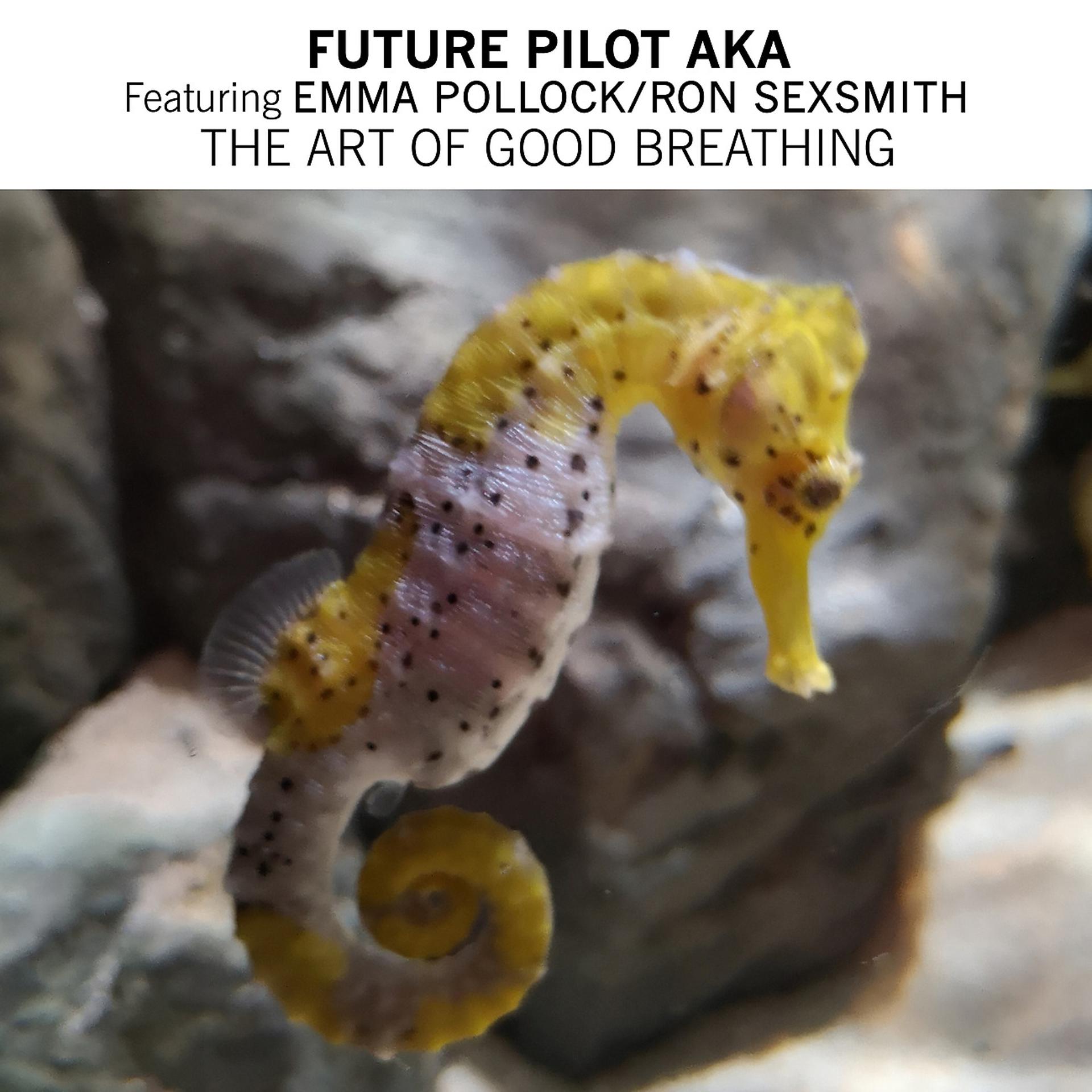 Постер к треку Future Pilot aka, Emma Pollock, Ron Sexsmith - The Art Of Good Breathing