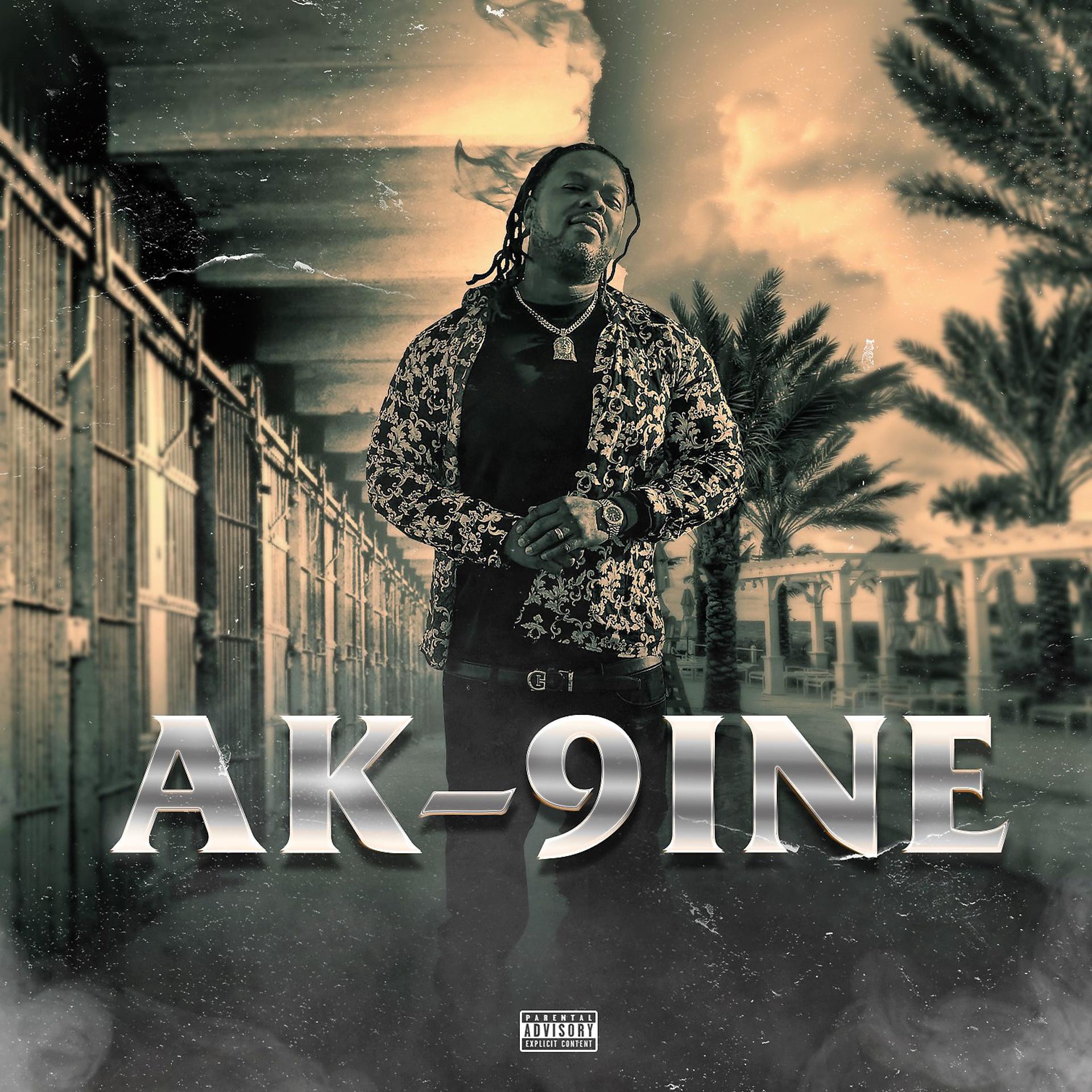 Постер альбома AK-9ine