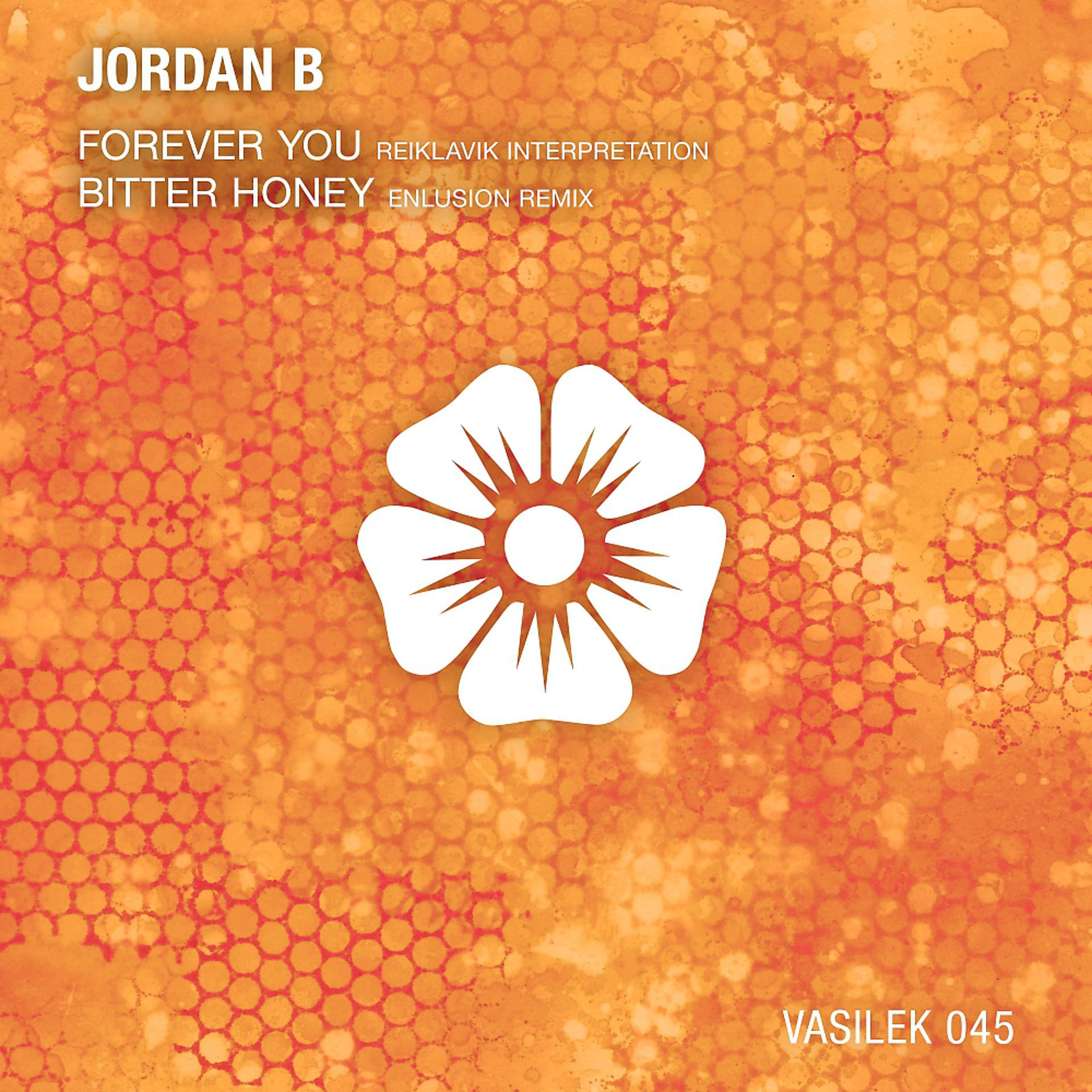 Постер альбома Forever You / Bitter Honey (Remixes)