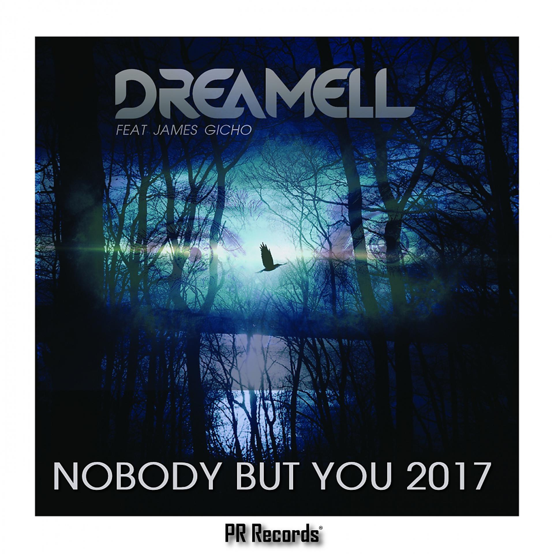 Постер альбома Nobody But You 2017