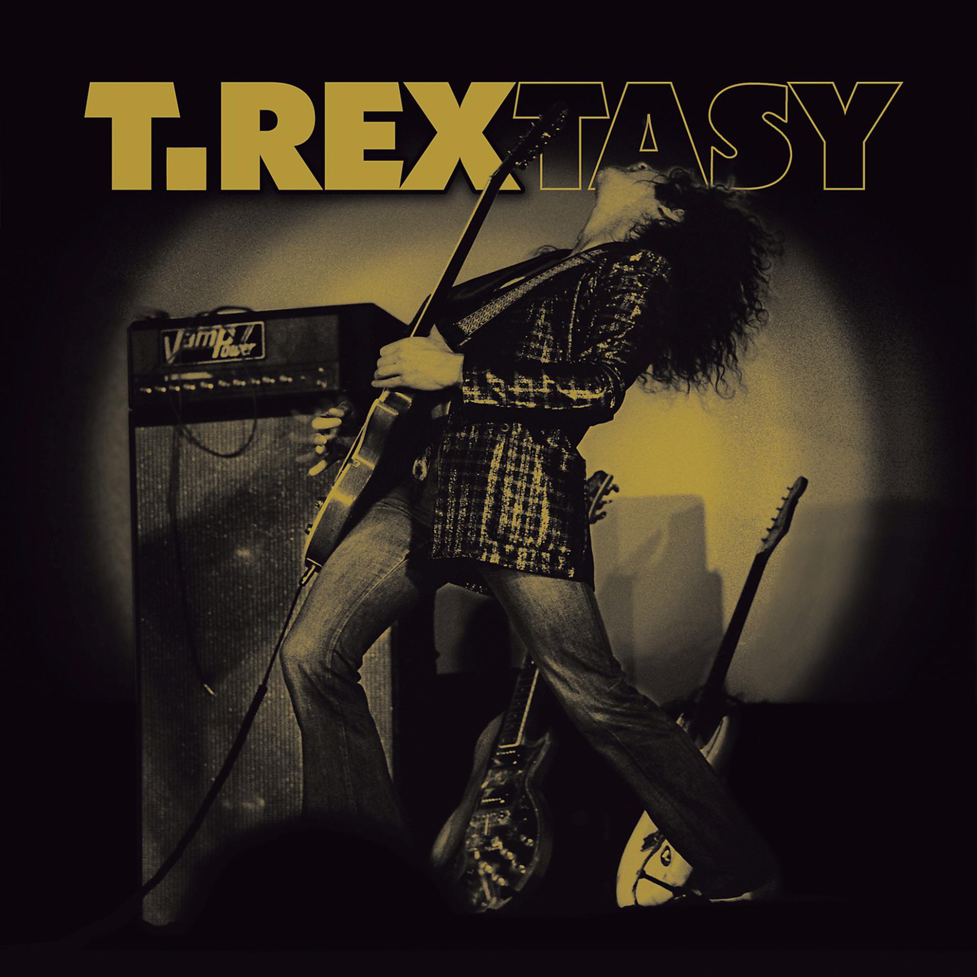Постер альбома T Rextasy