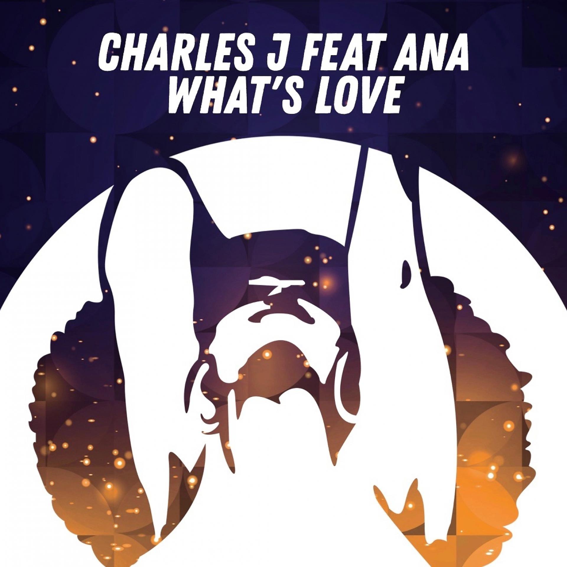 Постер альбома What's Love (Radio Mix)